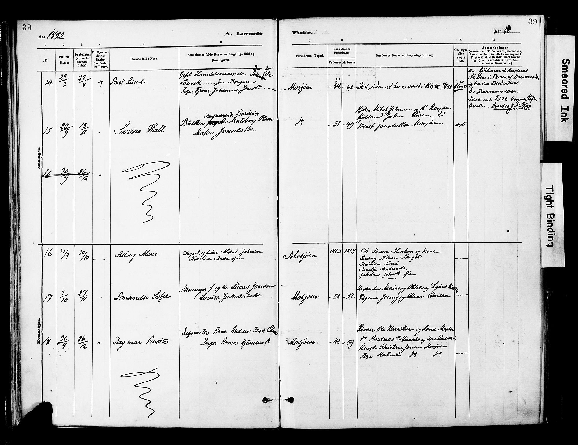 Ministerialprotokoller, klokkerbøker og fødselsregistre - Nordland, AV/SAT-A-1459/820/L0296: Parish register (official) no. 820A17, 1880-1903, p. 39