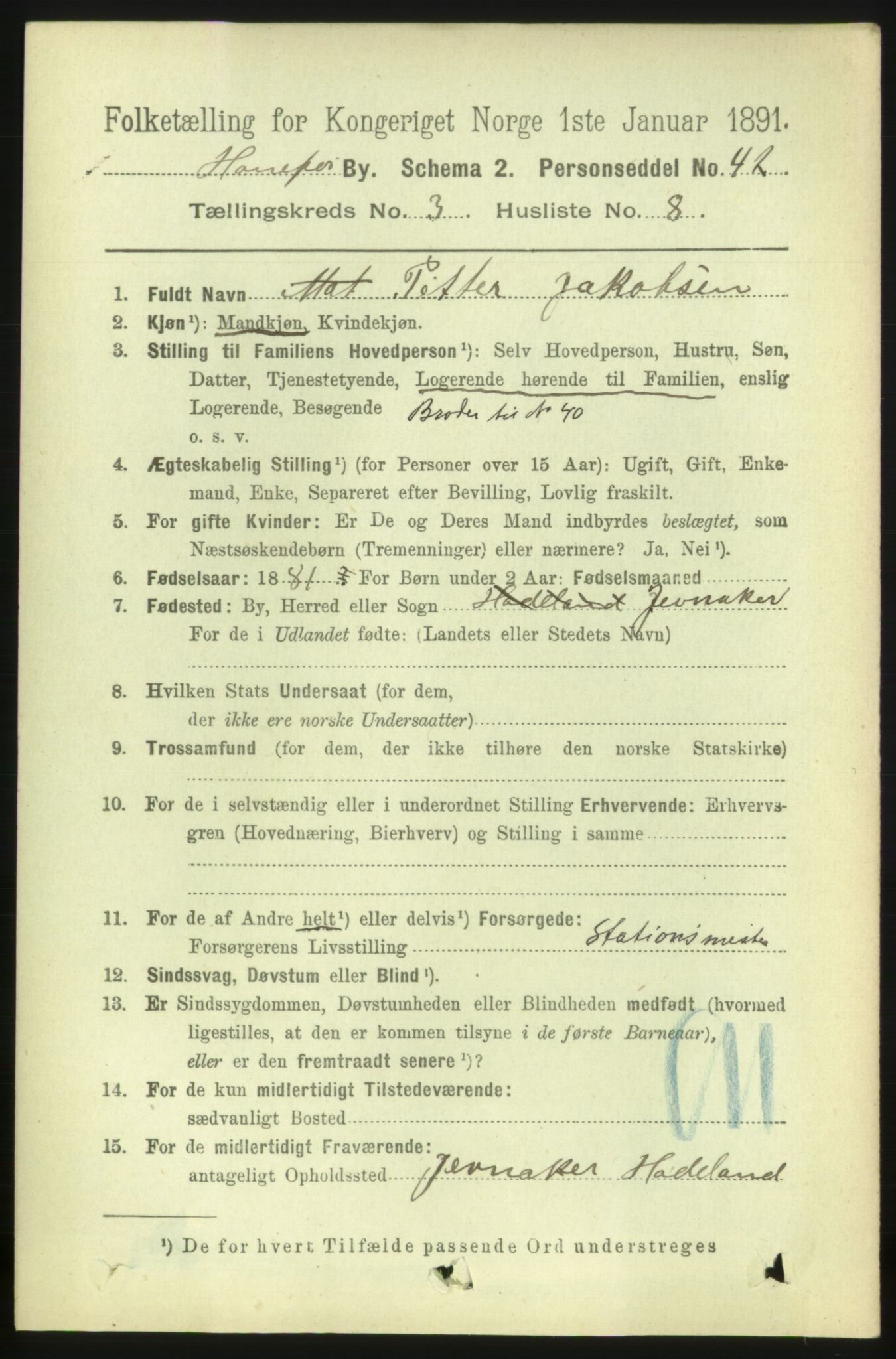 RA, 1891 census for 0601 Hønefoss, 1891, p. 784