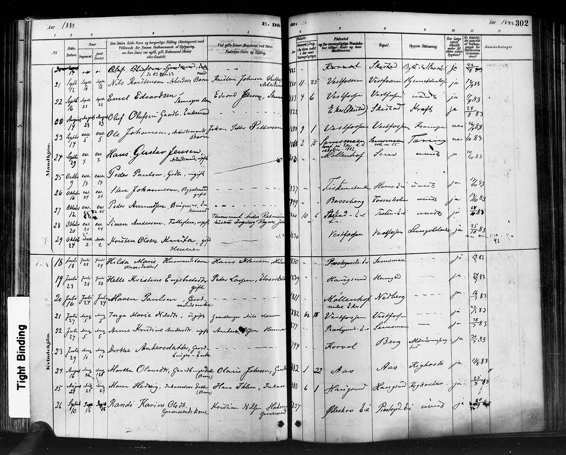 Eiker kirkebøker, AV/SAKO-A-4/F/Fb/L0001: Parish register (official) no. II 1, 1878-1888, p. 302