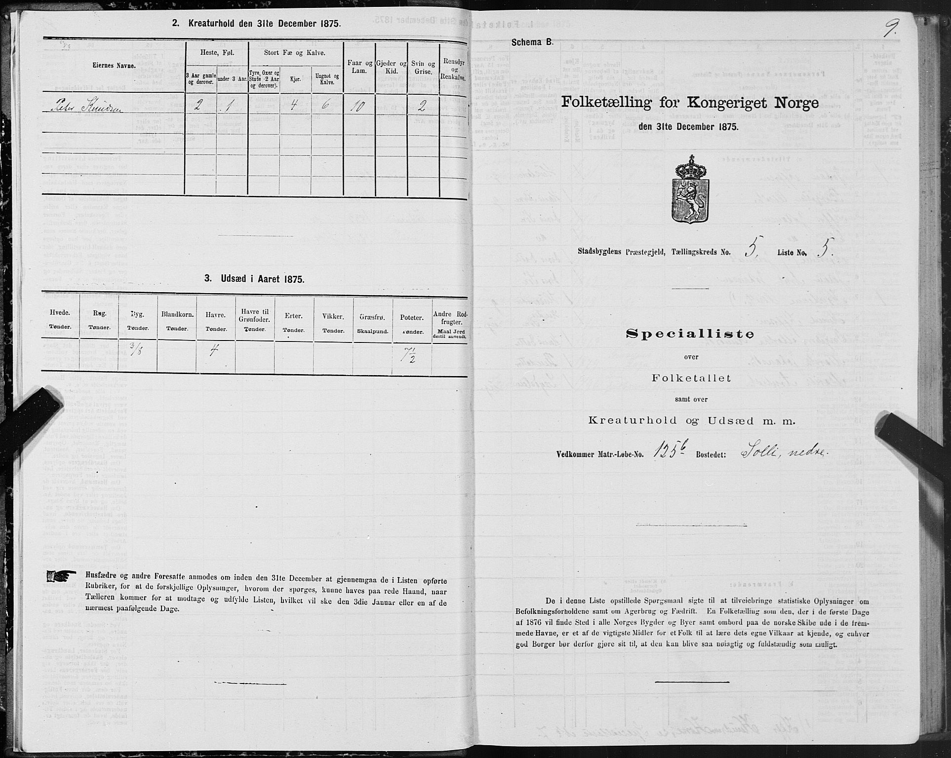 SAT, 1875 census for 1625P Stadsbygd, 1875, p. 3009