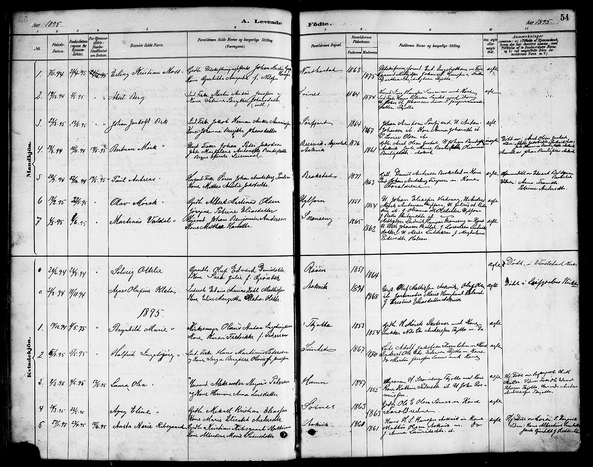 Ministerialprotokoller, klokkerbøker og fødselsregistre - Nordland, AV/SAT-A-1459/817/L0268: Parish register (copy) no. 817C03, 1884-1920, p. 54