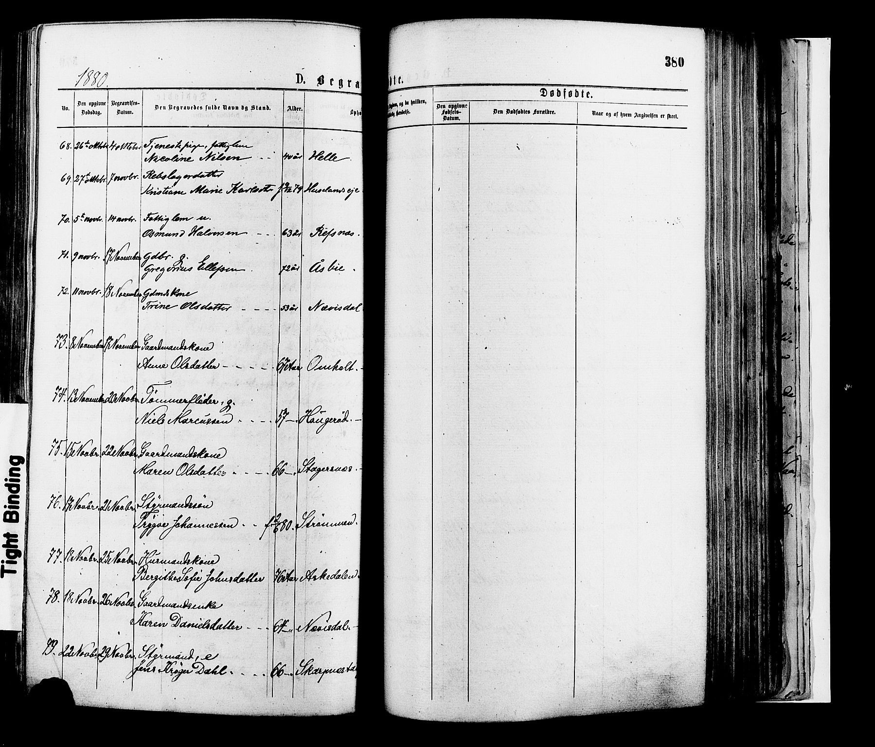 Øyestad sokneprestkontor, AV/SAK-1111-0049/F/Fa/L0016: Parish register (official) no. A 16, 1874-1886, p. 380