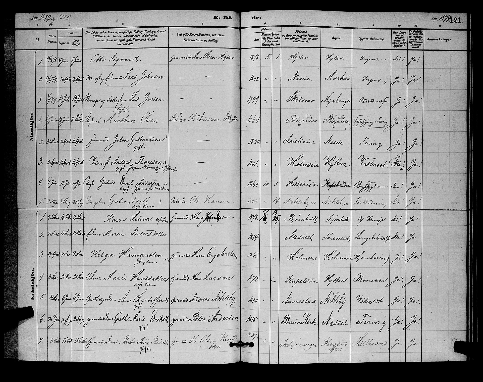 Nittedal prestekontor Kirkebøker, SAO/A-10365a/G/Gb/L0002: Parish register (copy) no. II 2, 1879-1901, p. 121
