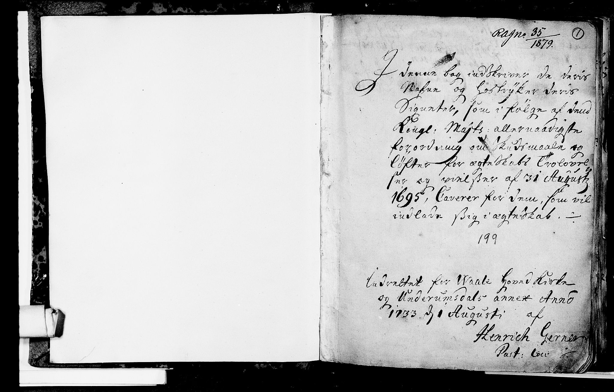 Våle kirkebøker, AV/SAKO-A-334/H/Hb/L0001: Best man's statements no. 1, 1733-1755, p. 1