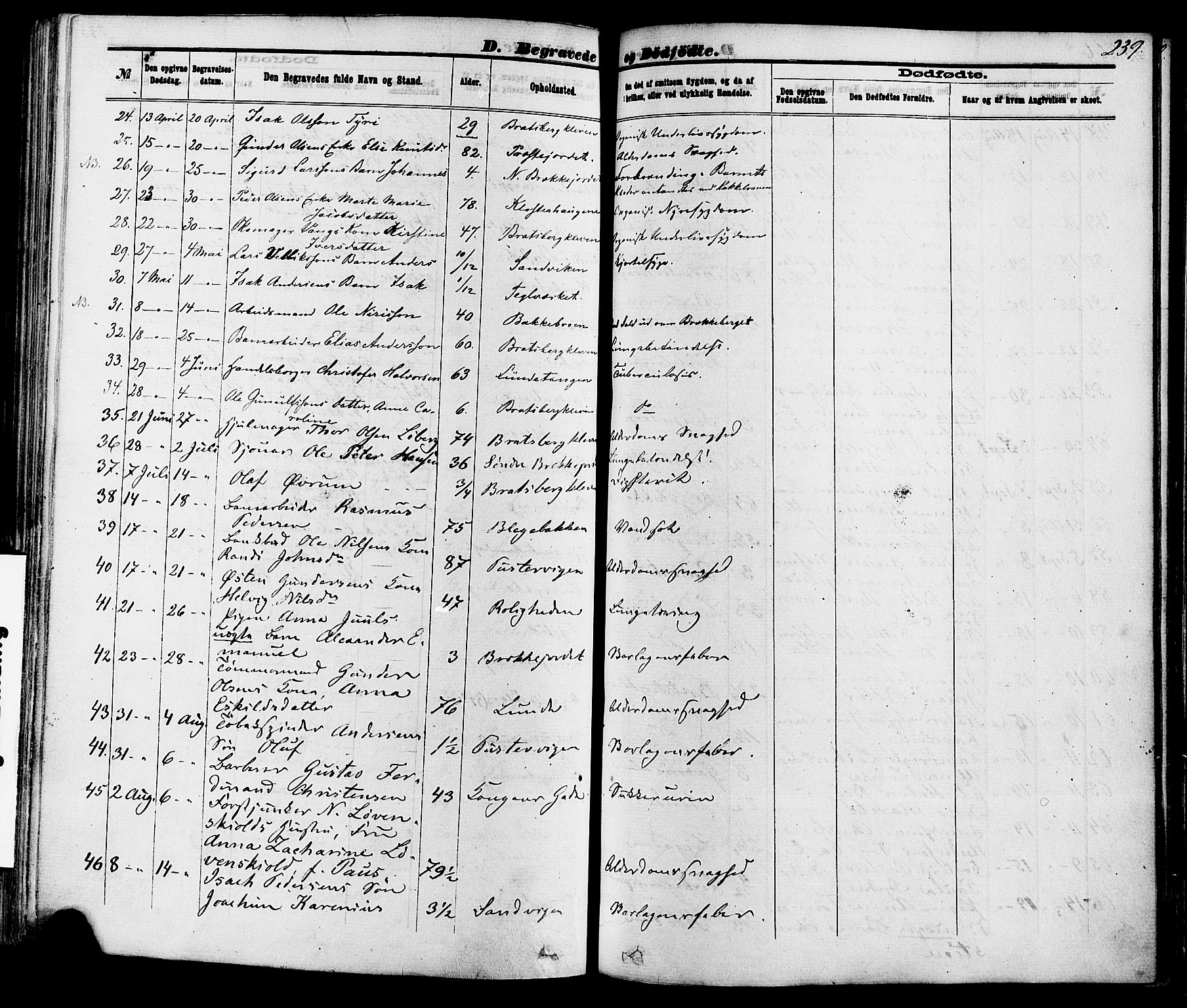 Skien kirkebøker, SAKO/A-302/F/Fa/L0008: Parish register (official) no. 8, 1866-1877, p. 239