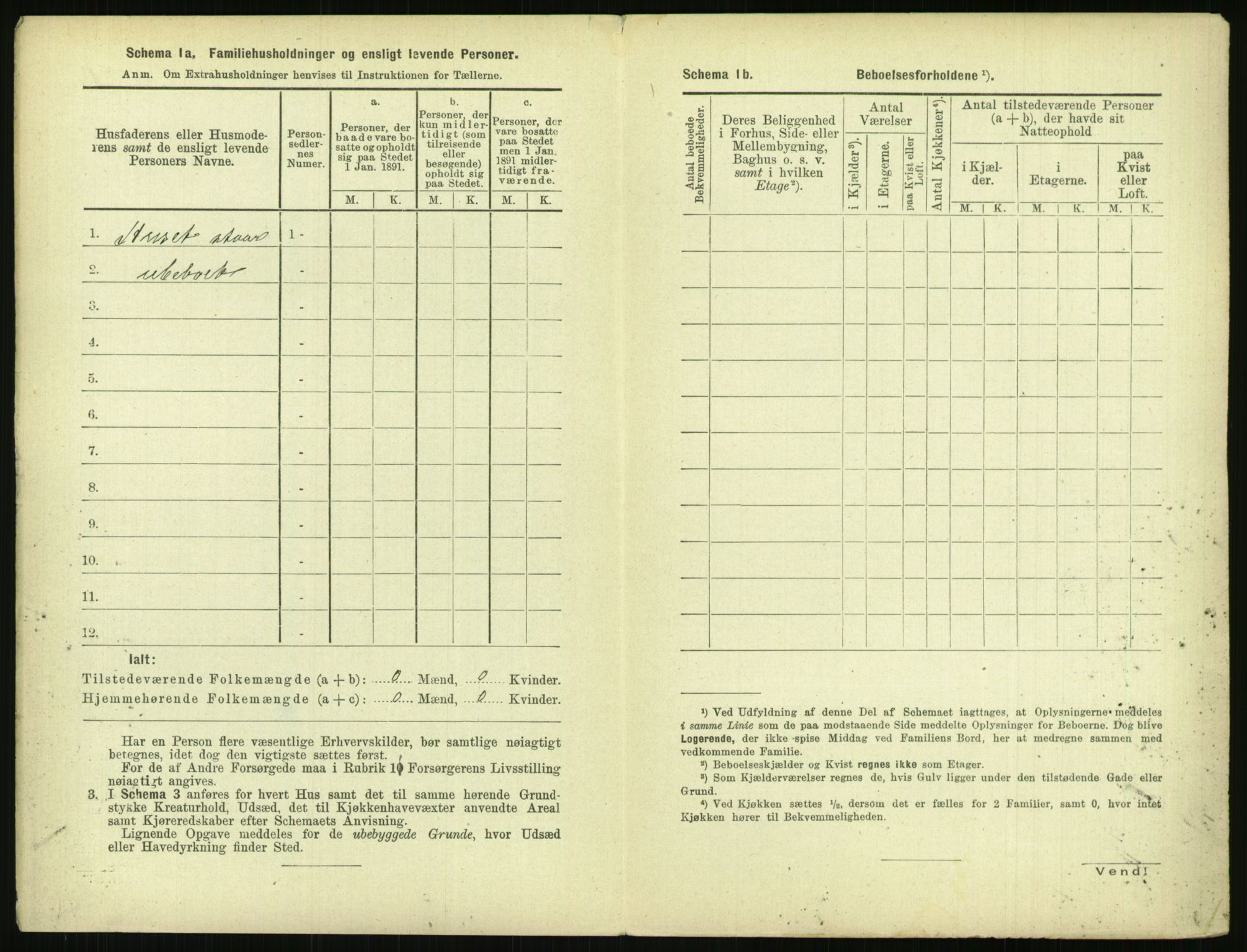 RA, 1891 census for 0903 Arendal, 1891, p. 729