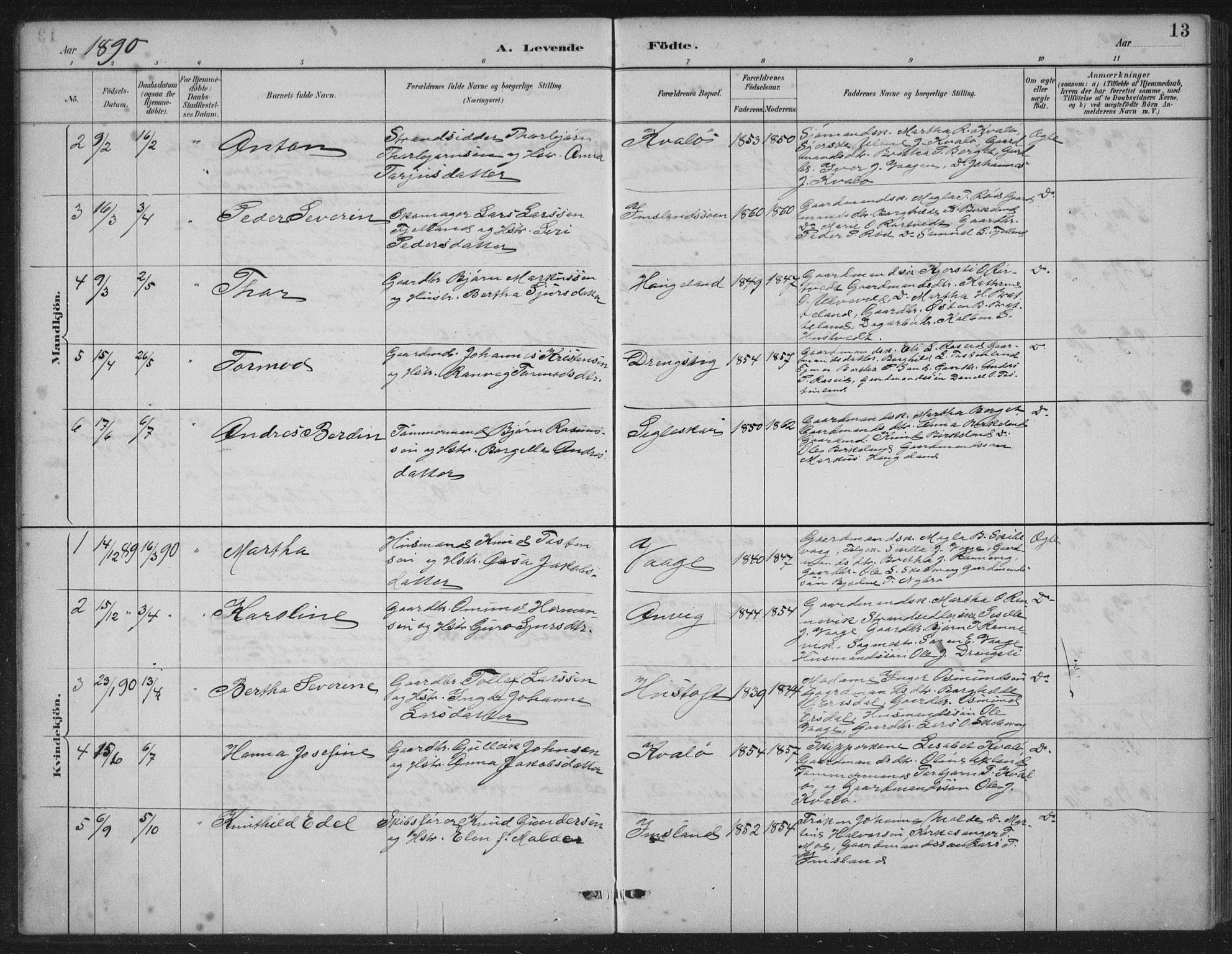 Vikedal sokneprestkontor, AV/SAST-A-101840/01/IV: Parish register (official) no. A 12, 1886-1929, p. 13