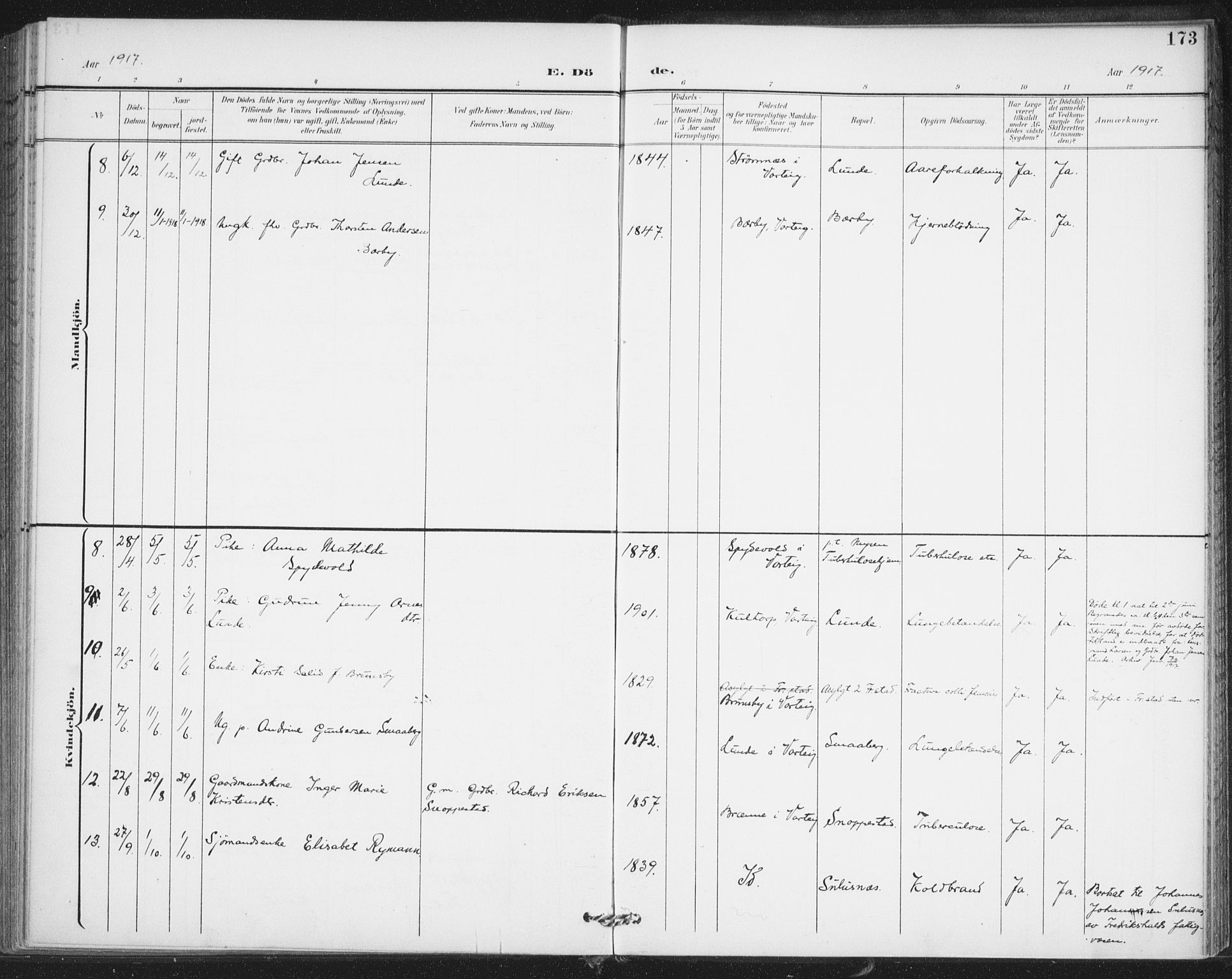 Varteig prestekontor Kirkebøker, SAO/A-10447a/F/Fa/L0003: Parish register (official) no. 3, 1899-1919, p. 173