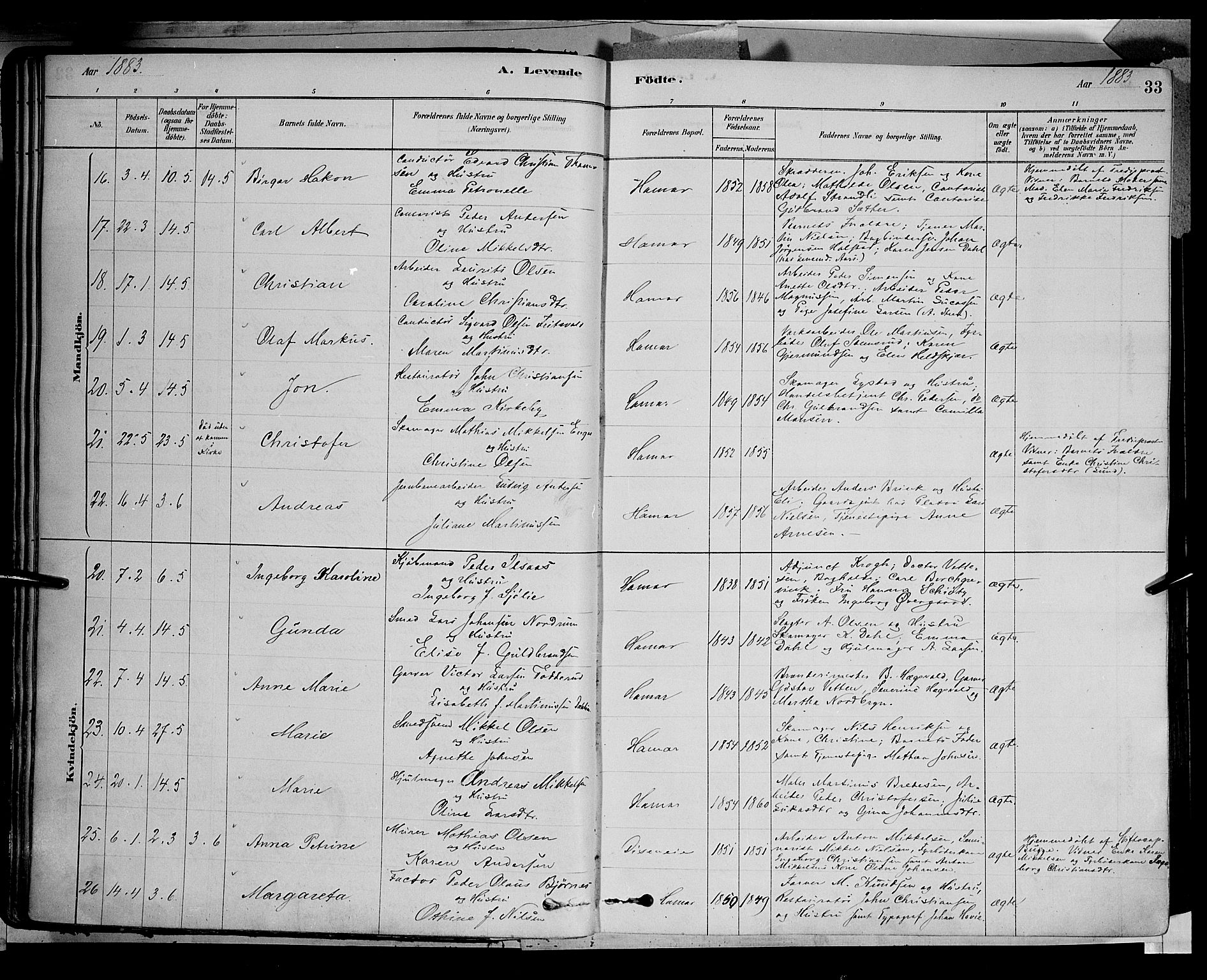 Vang prestekontor, Hedmark, AV/SAH-PREST-008/H/Ha/Haa/L0016: Parish register (official) no. 16, 1878-1889, p. 33