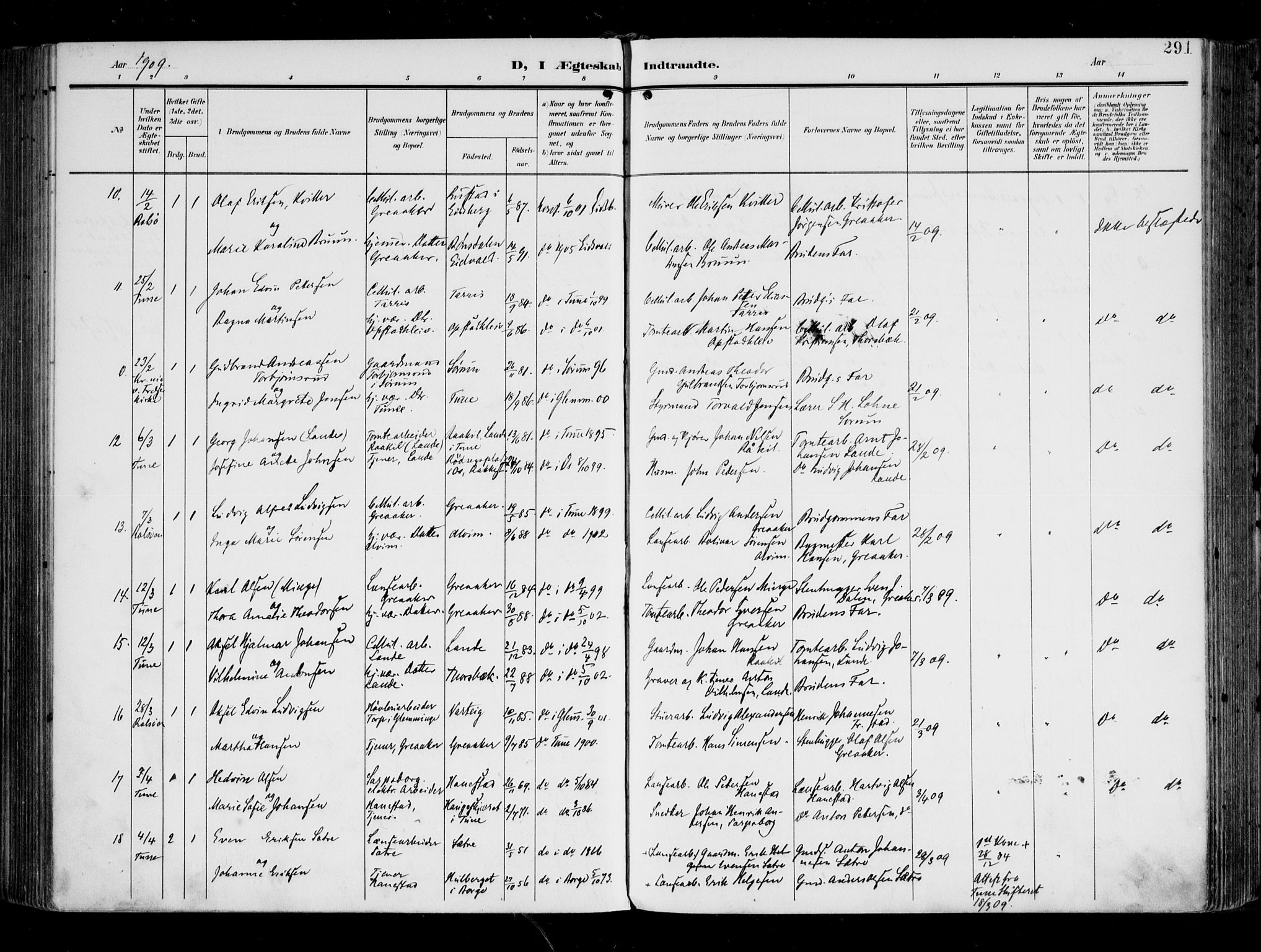 Tune prestekontor Kirkebøker, AV/SAO-A-2007/F/Fa/L0020: Parish register (official) no. 20, 1904-1909, p. 291