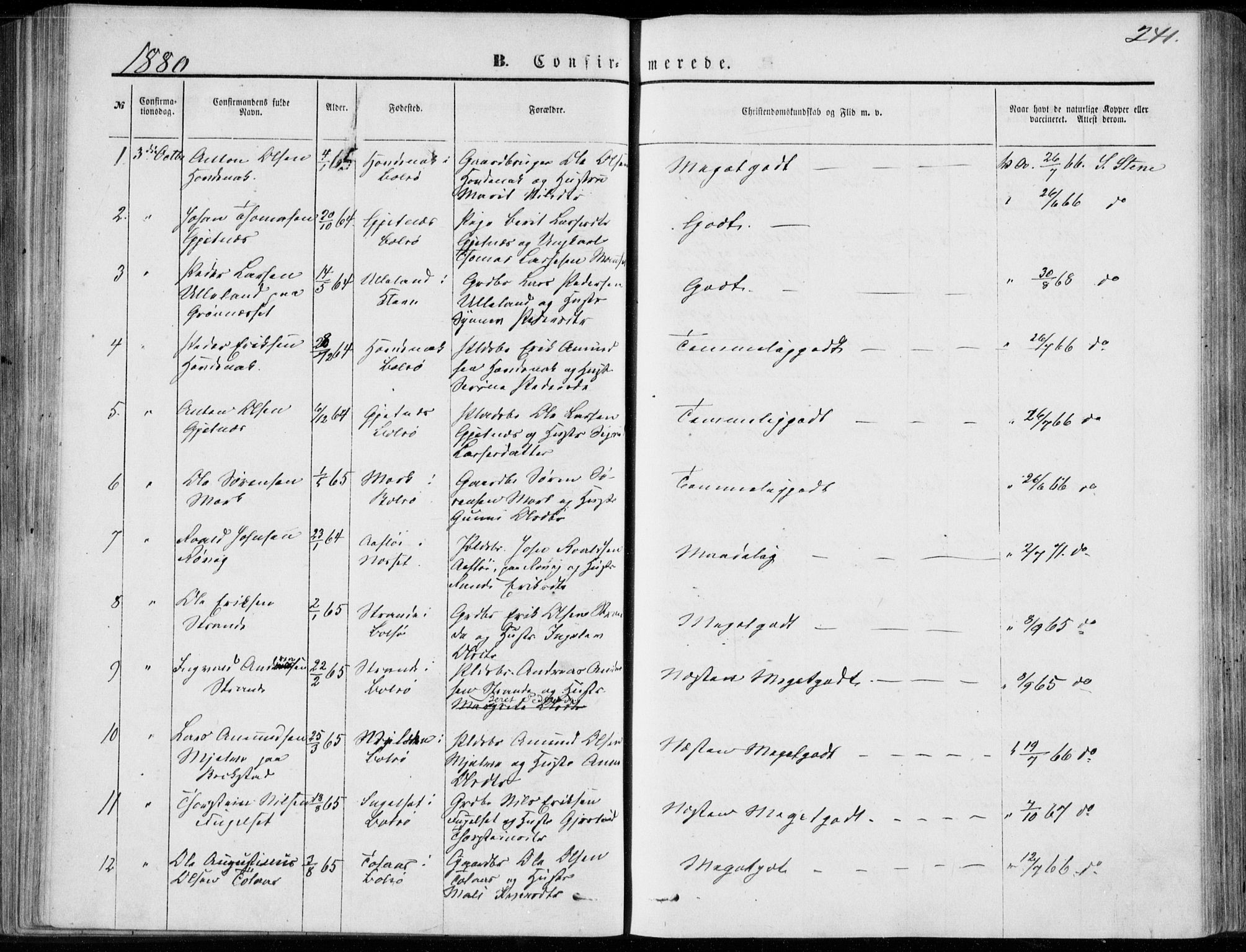 Ministerialprotokoller, klokkerbøker og fødselsregistre - Møre og Romsdal, SAT/A-1454/555/L0655: Parish register (official) no. 555A05, 1869-1886, p. 241