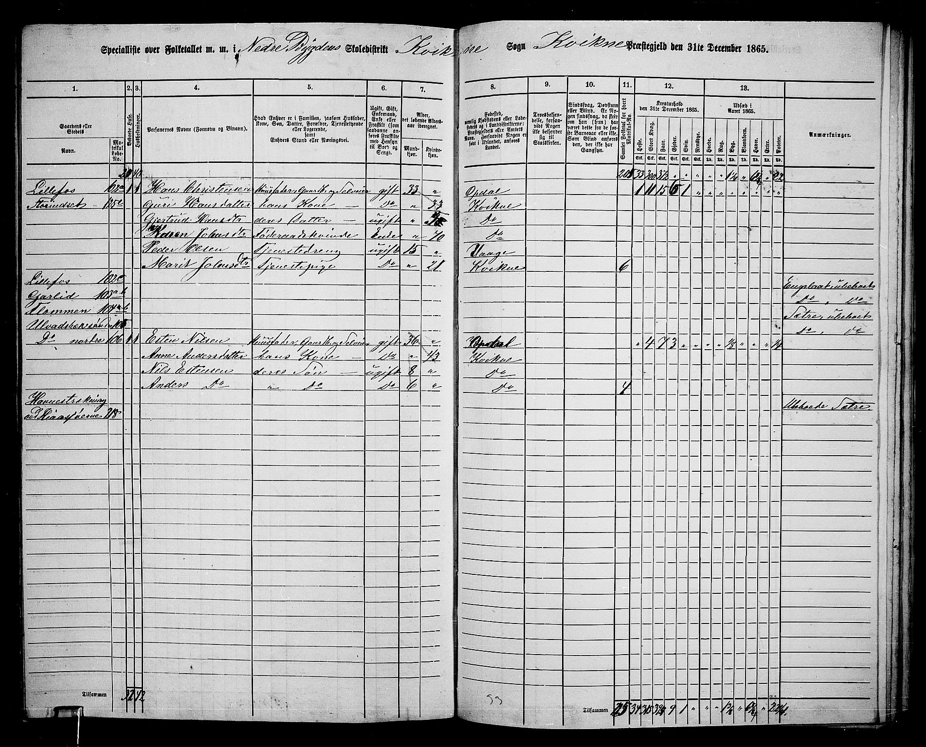 RA, 1865 census for Kvikne, 1865, p. 41