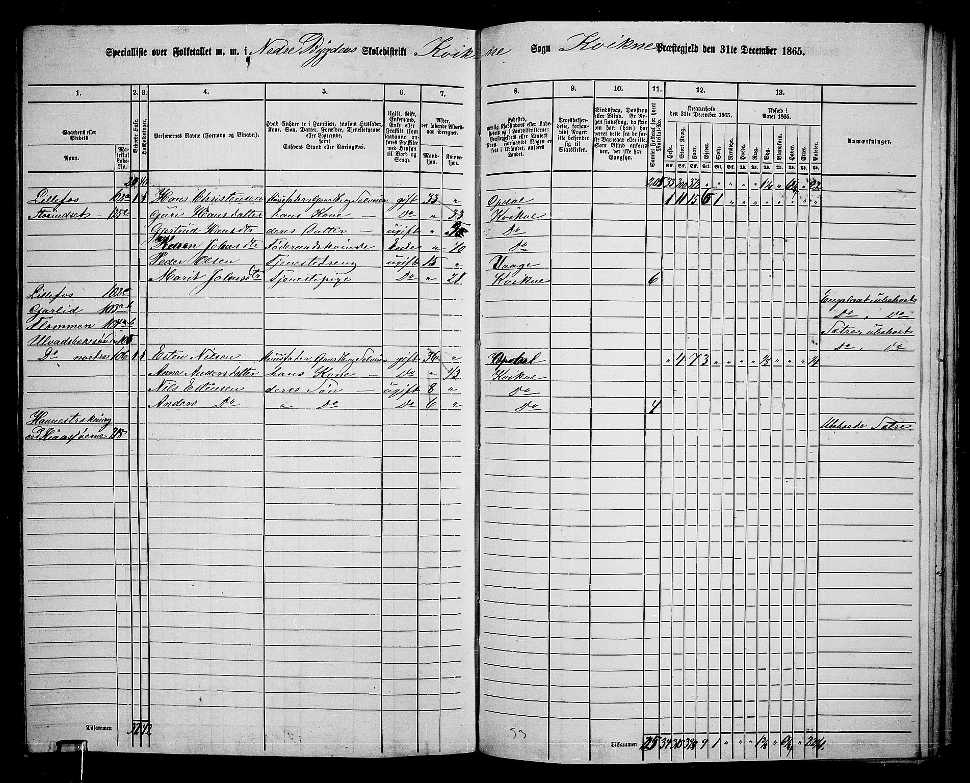 RA, 1865 census for Kvikne, 1865, p. 41