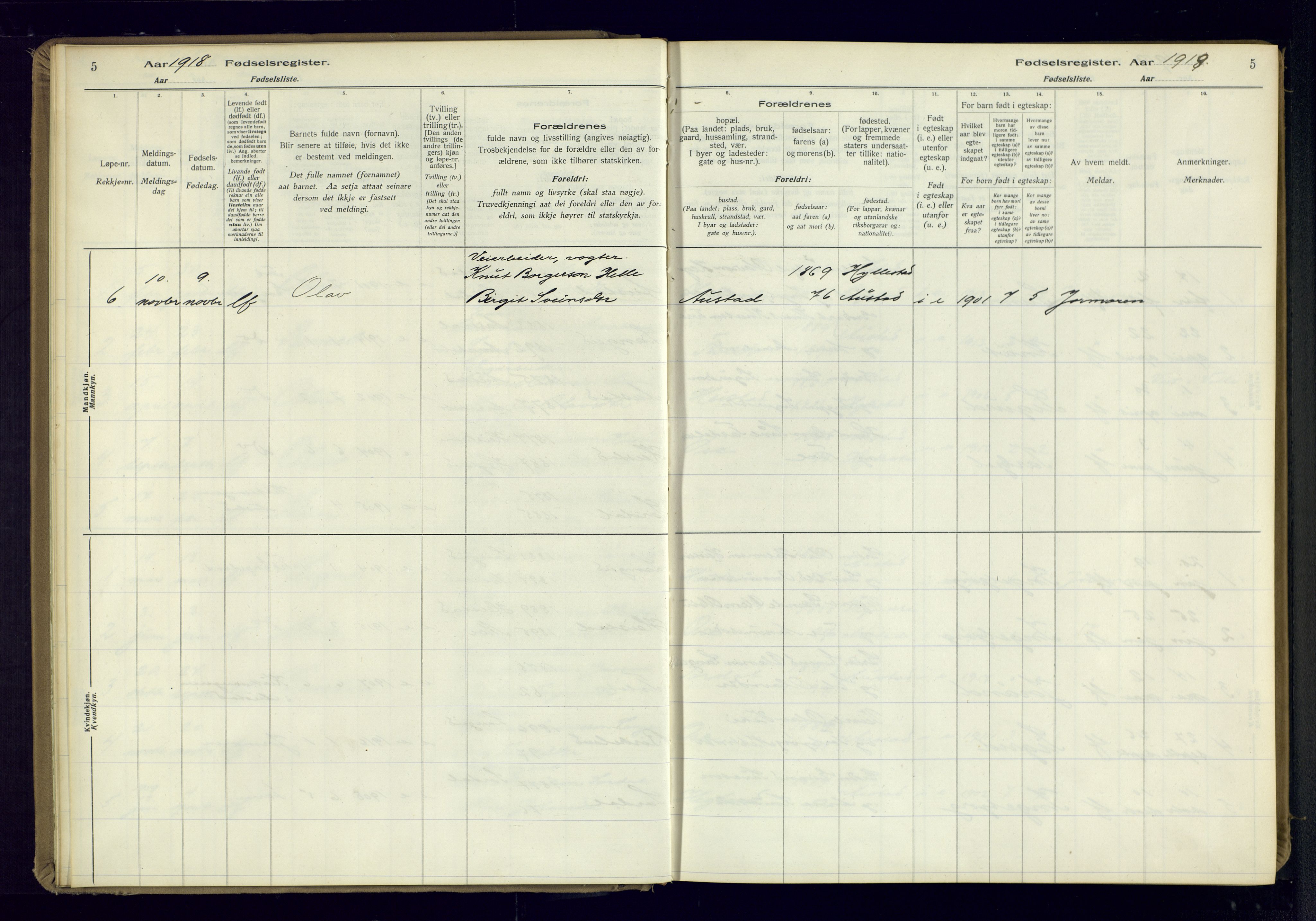 Bygland sokneprestkontor, SAK/1111-0006/J/Ja/L0002: Birth register no. II.4.3, 1916-1982, p. 5