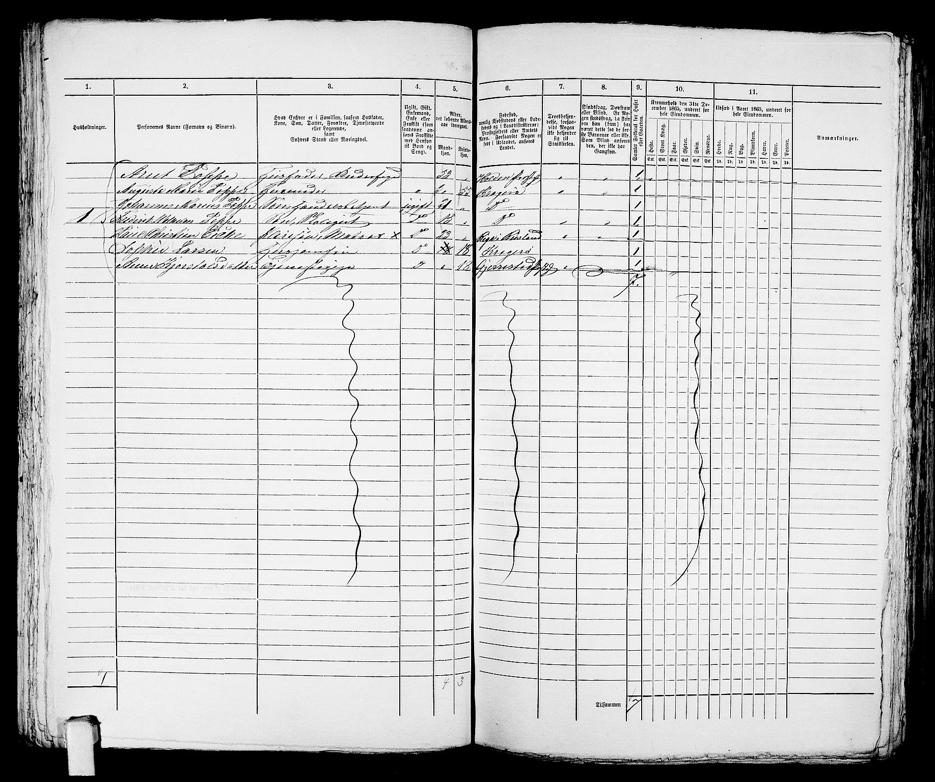 RA, 1865 census for Kragerø/Kragerø, 1865, p. 728