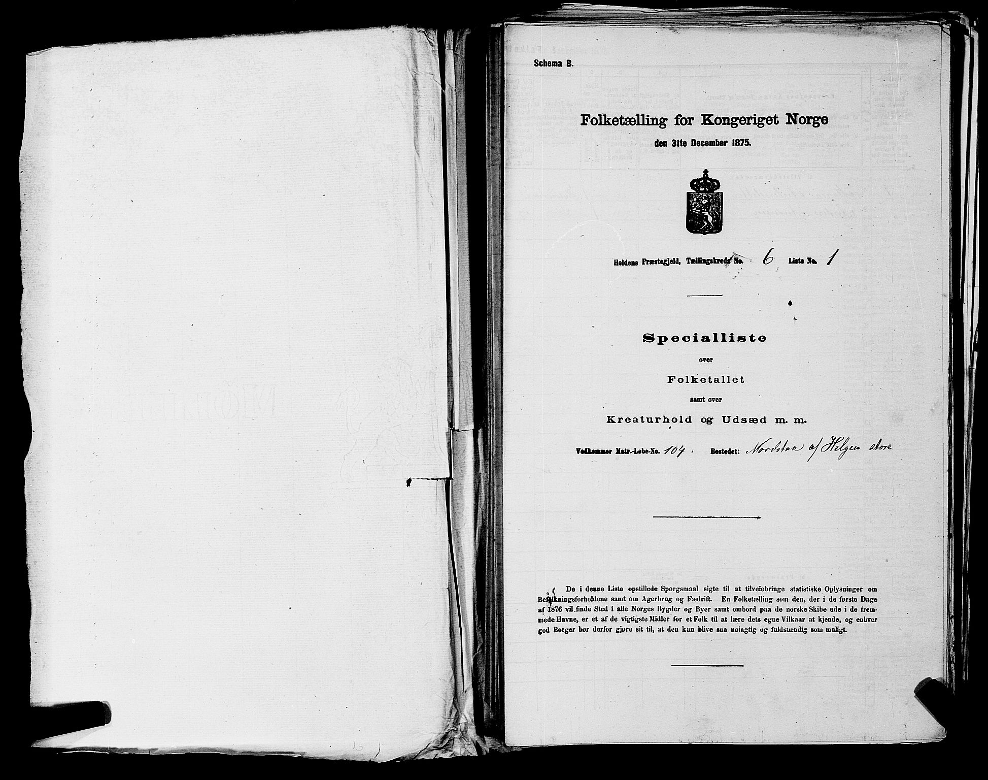 SAKO, 1875 census for 0819P Holla, 1875, p. 703