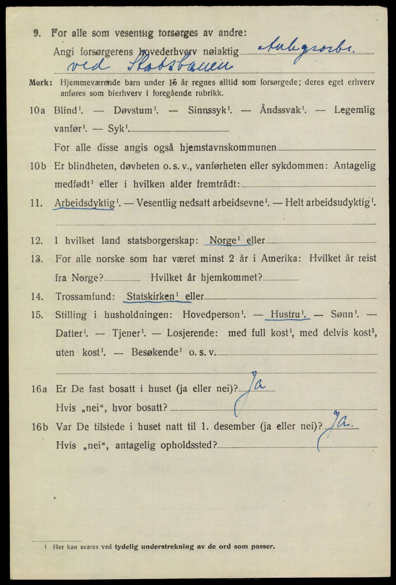 SAKO, 1920 census for Heddal, 1920, p. 1555