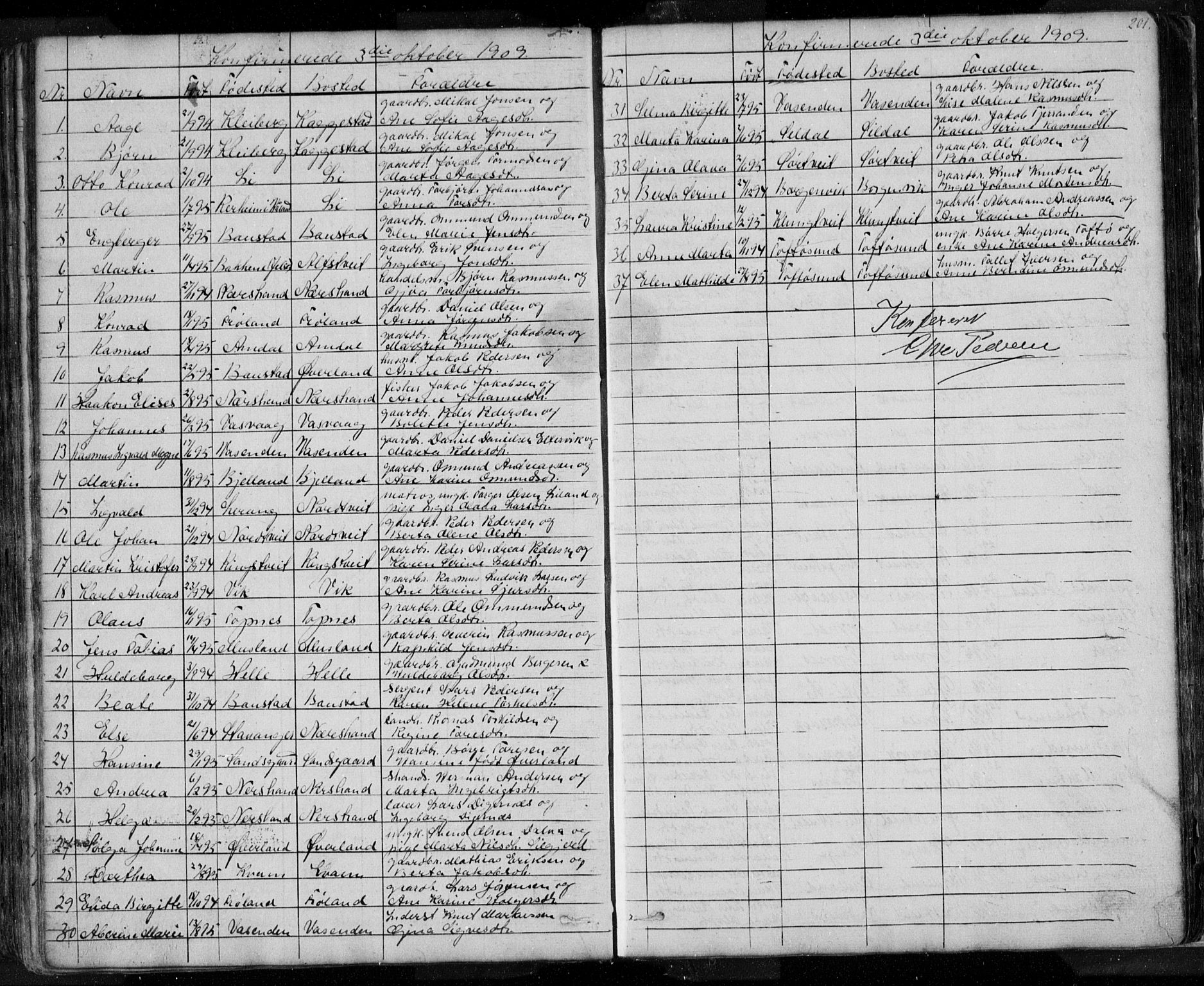 Nedstrand sokneprestkontor, SAST/A-101841/01/V: Parish register (copy) no. B 3, 1848-1933, p. 201