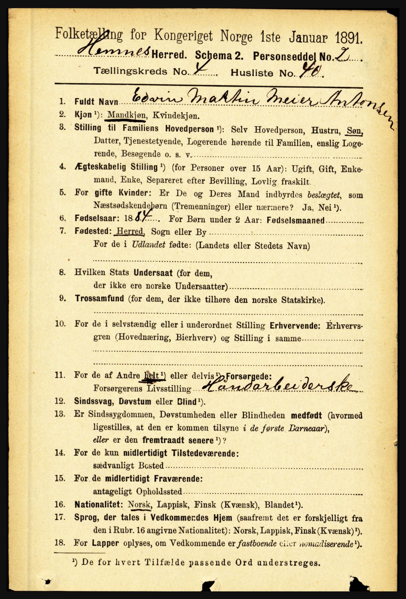 RA, 1891 census for 1832 Hemnes, 1891, p. 2491