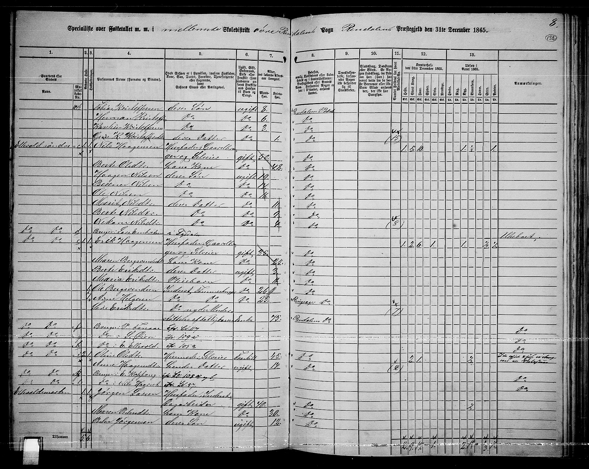 RA, 1865 census for Rendalen, 1865, p. 111