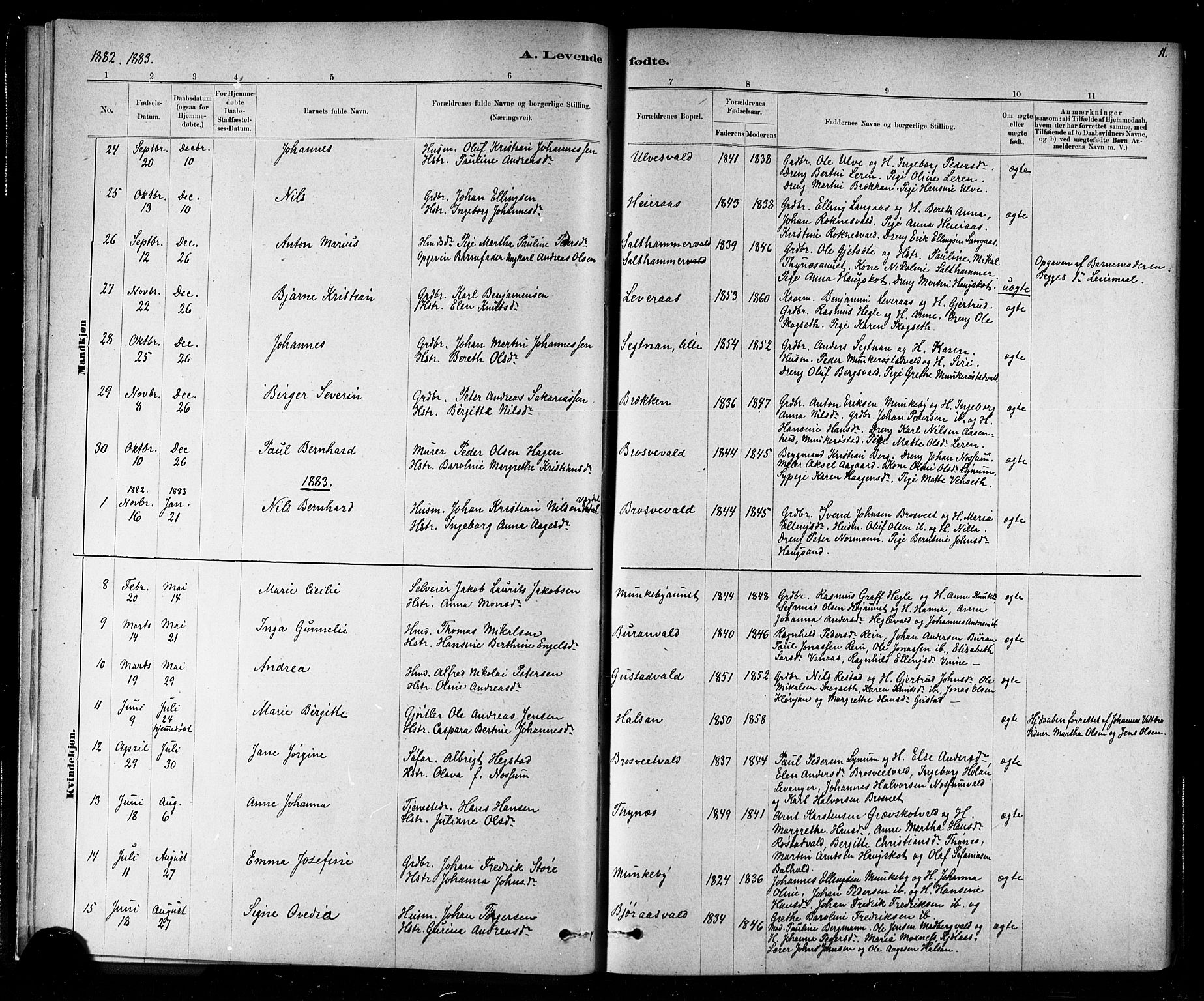 Ministerialprotokoller, klokkerbøker og fødselsregistre - Nord-Trøndelag, SAT/A-1458/721/L0208: Parish register (copy) no. 721C01, 1880-1917, p. 11