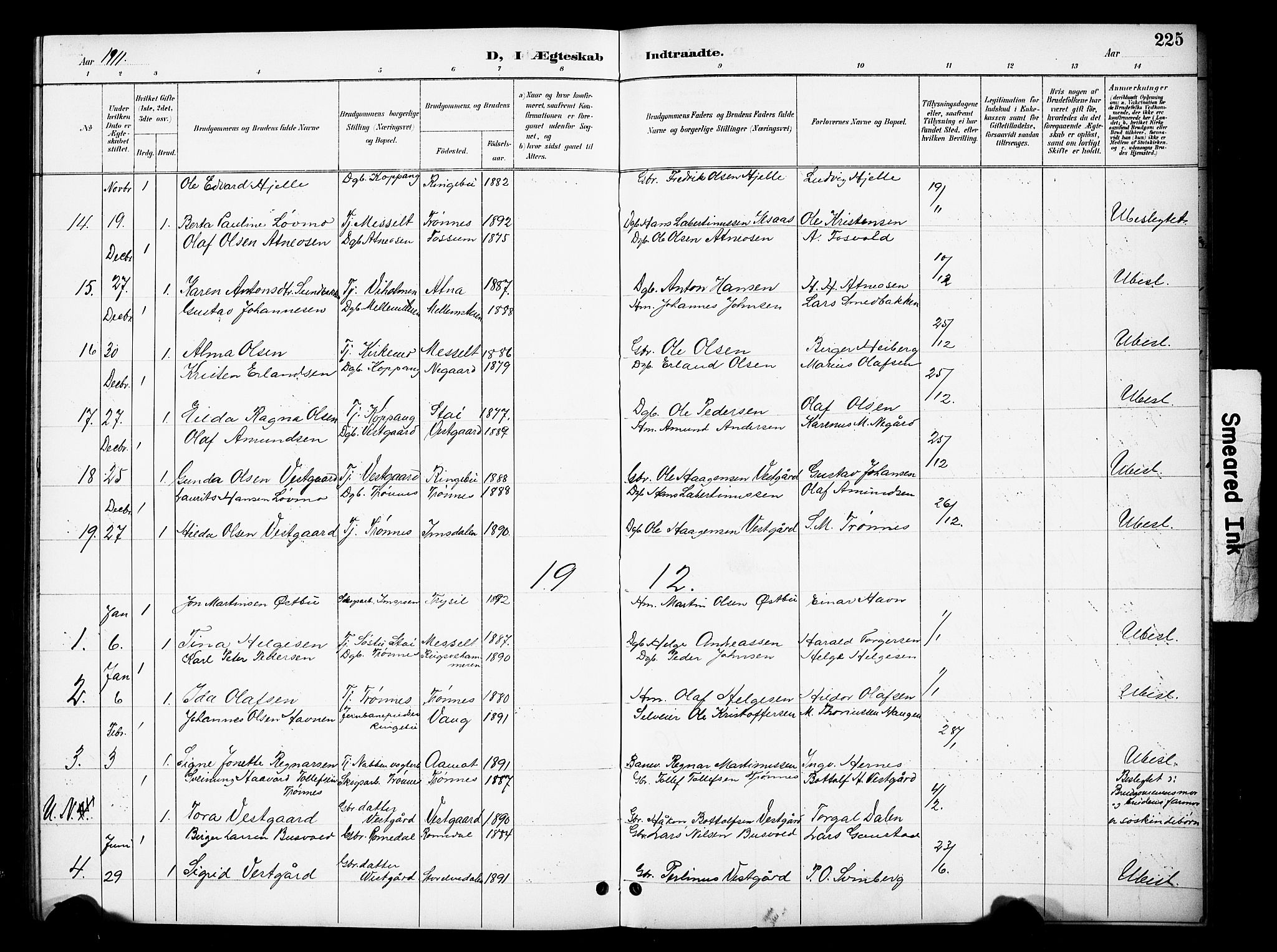 Stor-Elvdal prestekontor, SAH/PREST-052/H/Ha/Hab/L0003: Parish register (copy) no. 3, 1895-1917, p. 225