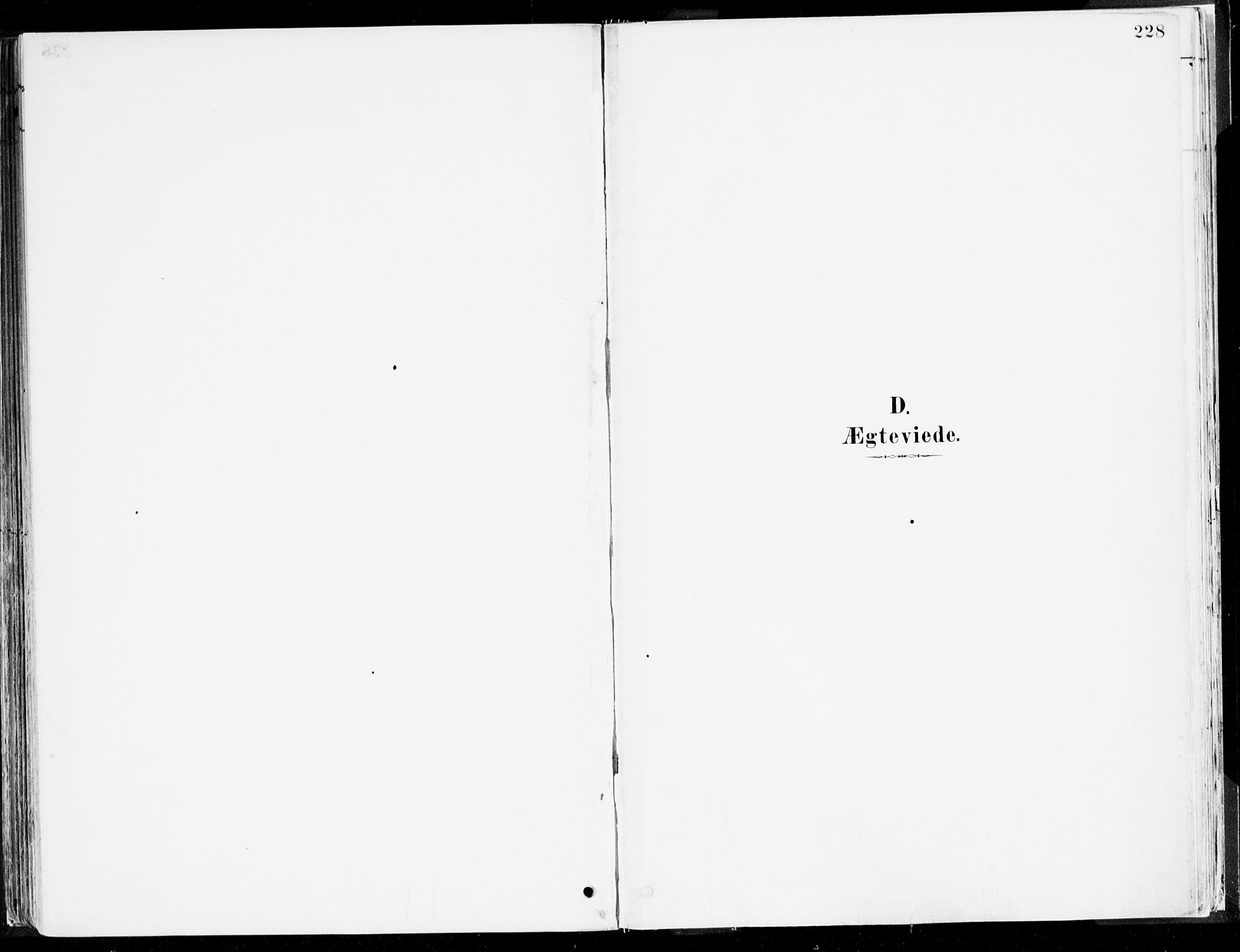 Årdal sokneprestembete, SAB/A-81701: Parish register (official) no. A 5, 1887-1917, p. 228