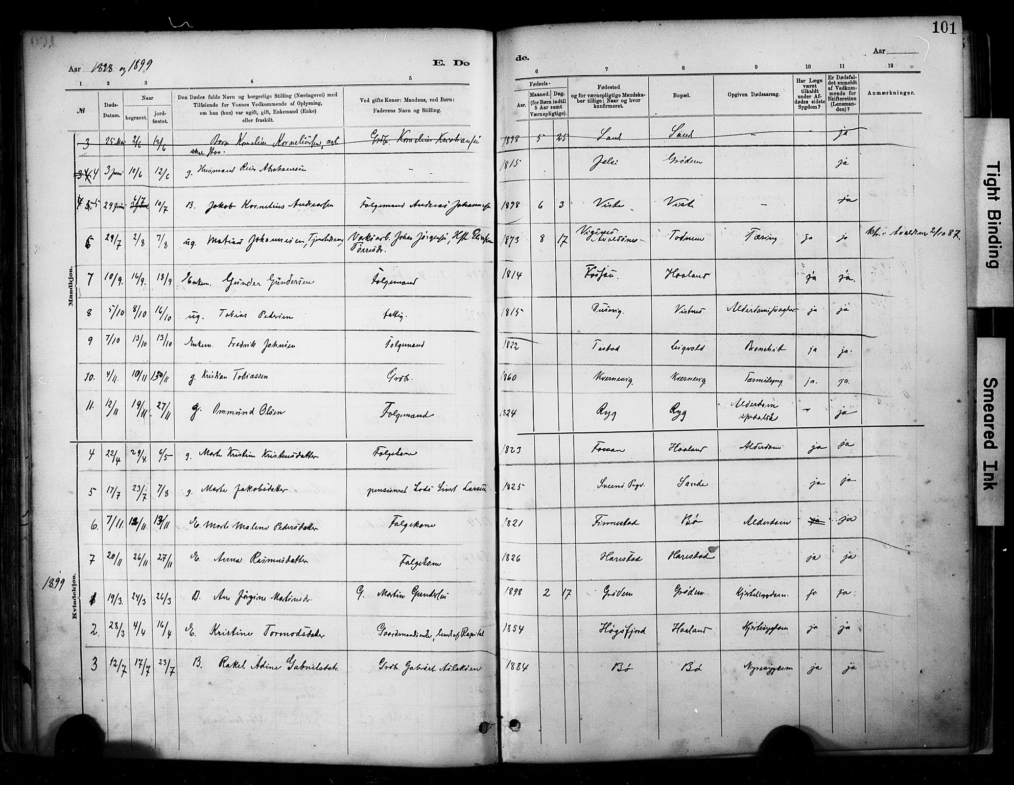 Hetland sokneprestkontor, SAST/A-101826/30/30BA/L0009: Parish register (official) no. A 9, 1882-1918, p. 101