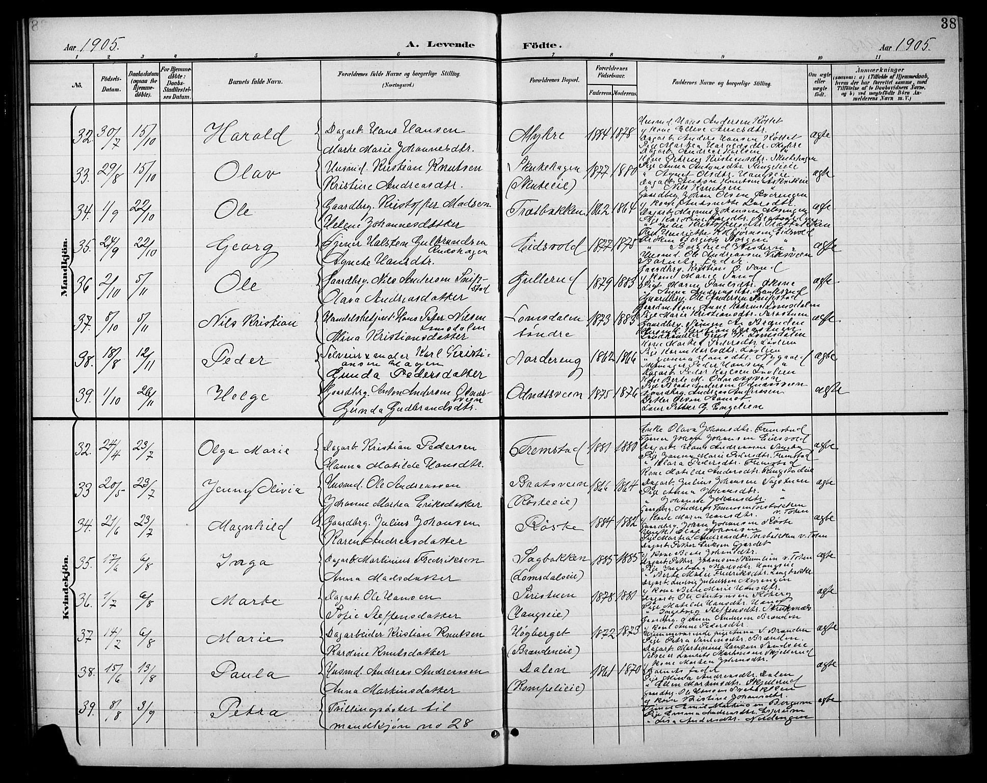 Søndre Land prestekontor, AV/SAH-PREST-122/L/L0004: Parish register (copy) no. 4, 1901-1915, p. 38