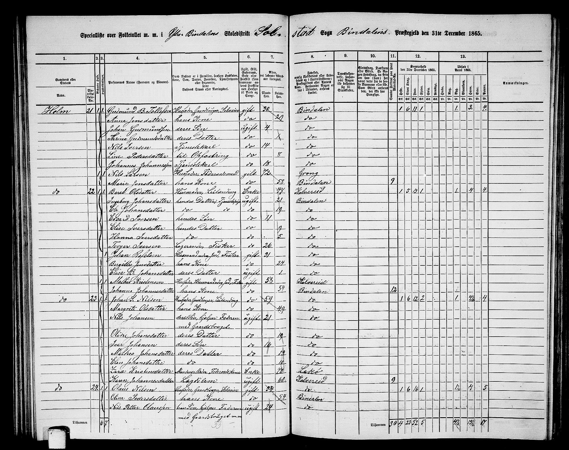 RA, 1865 census for Bindal, 1865, p. 50