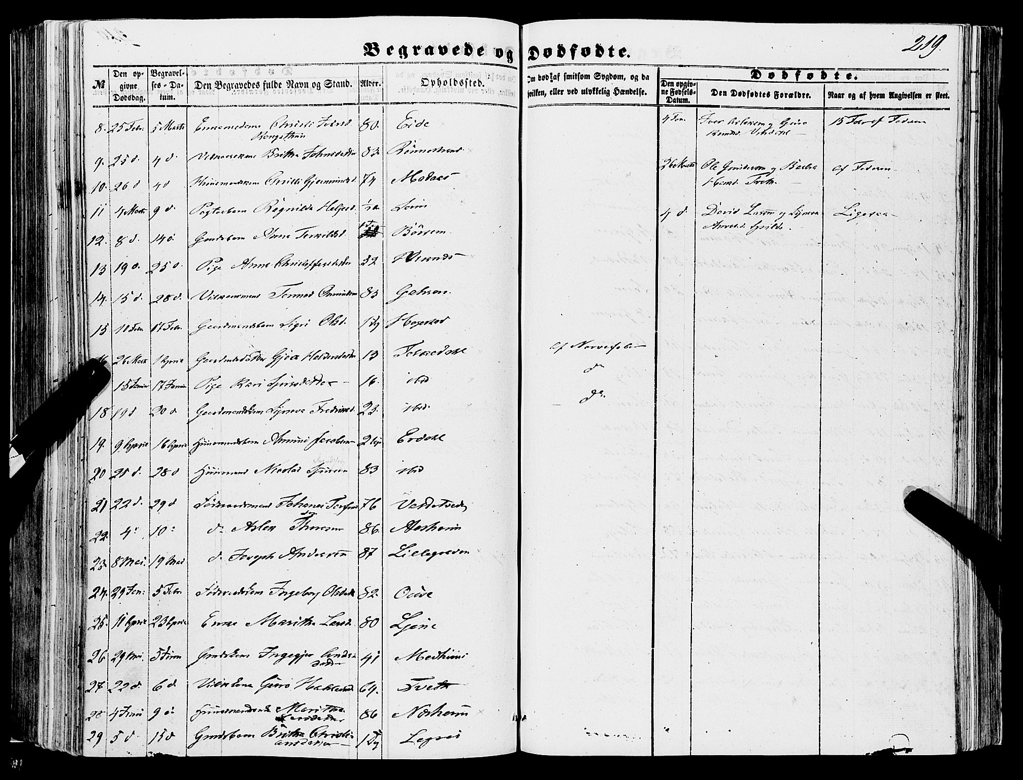 Ulvik sokneprestembete, AV/SAB-A-78801/H/Haa: Parish register (official) no. A 13, 1853-1863, p. 219