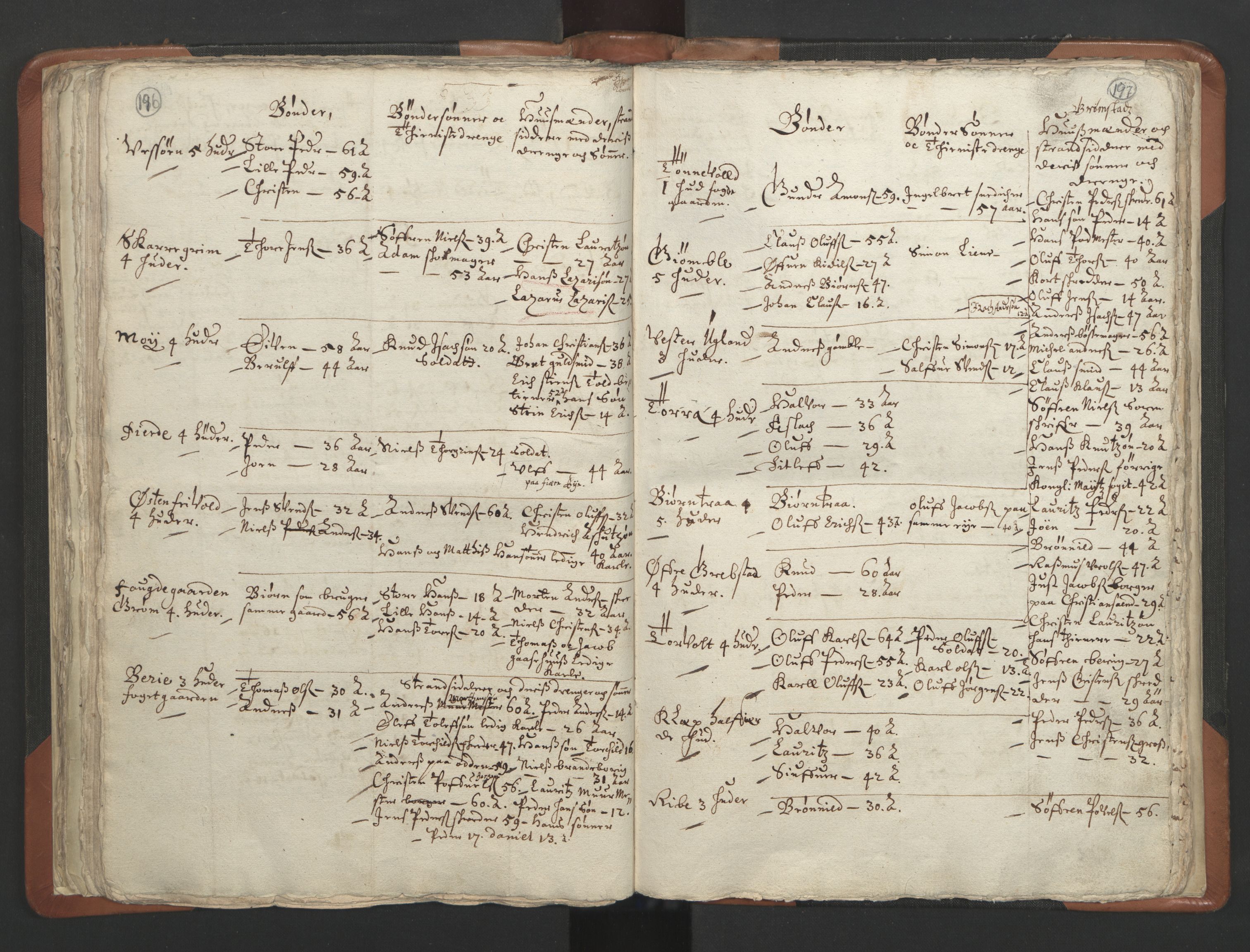 RA, Vicar's Census 1664-1666, no. 13: Nedenes deanery, 1664-1666, p. 196-197