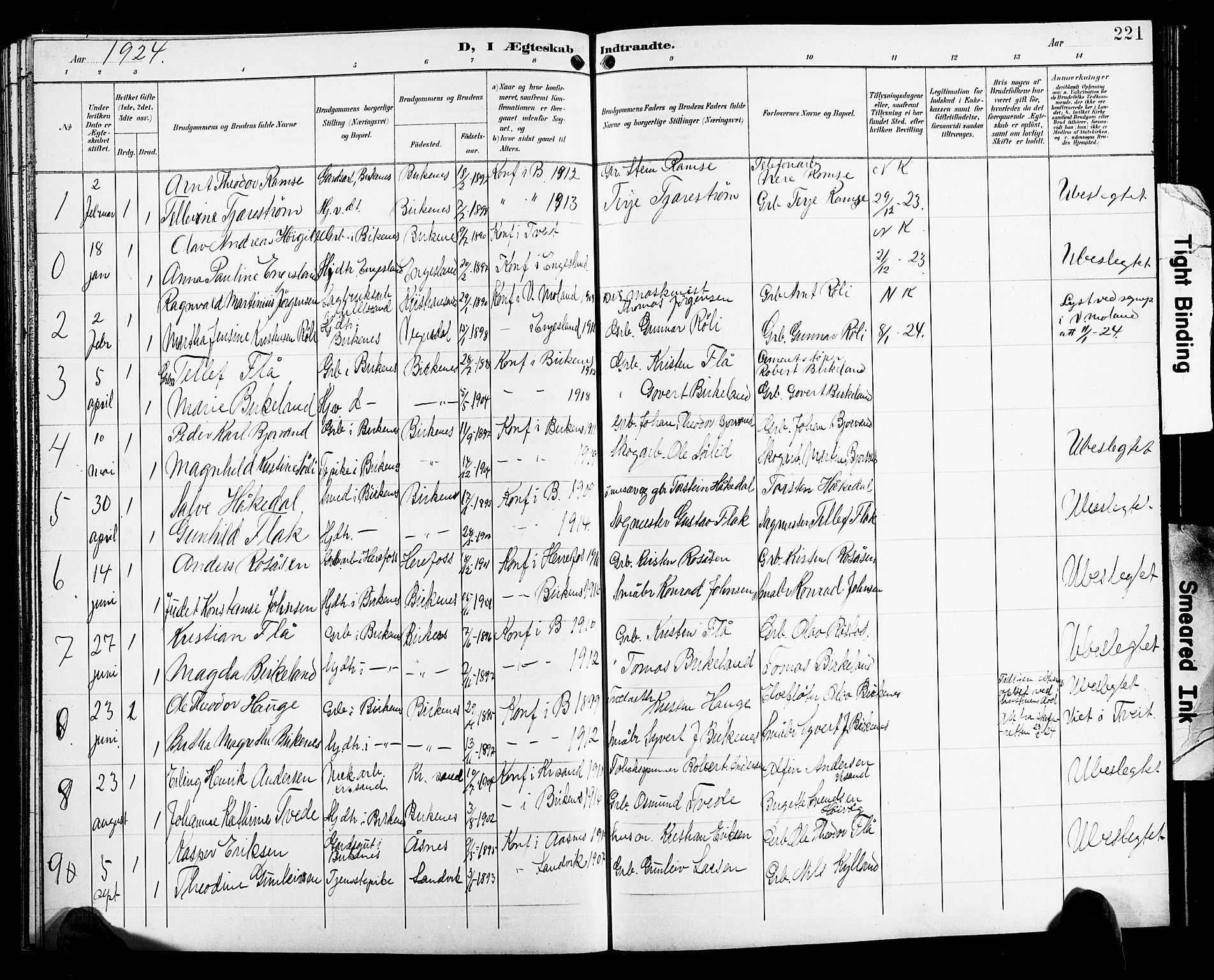 Birkenes sokneprestkontor, SAK/1111-0004/F/Fb/L0004: Parish register (copy) no. B 4, 1893-1930, p. 221