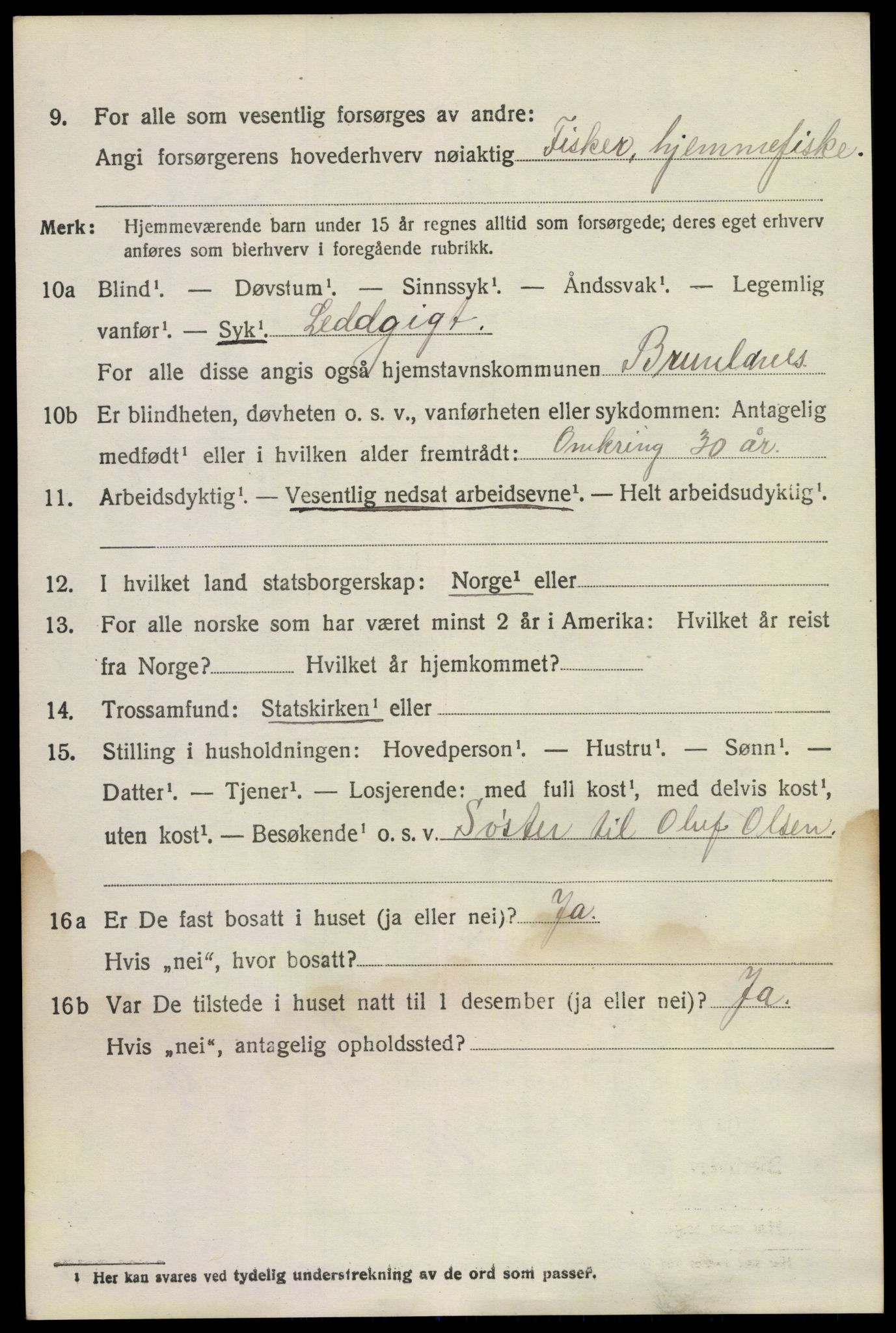 SAKO, 1920 census for Brunlanes, 1920, p. 4478