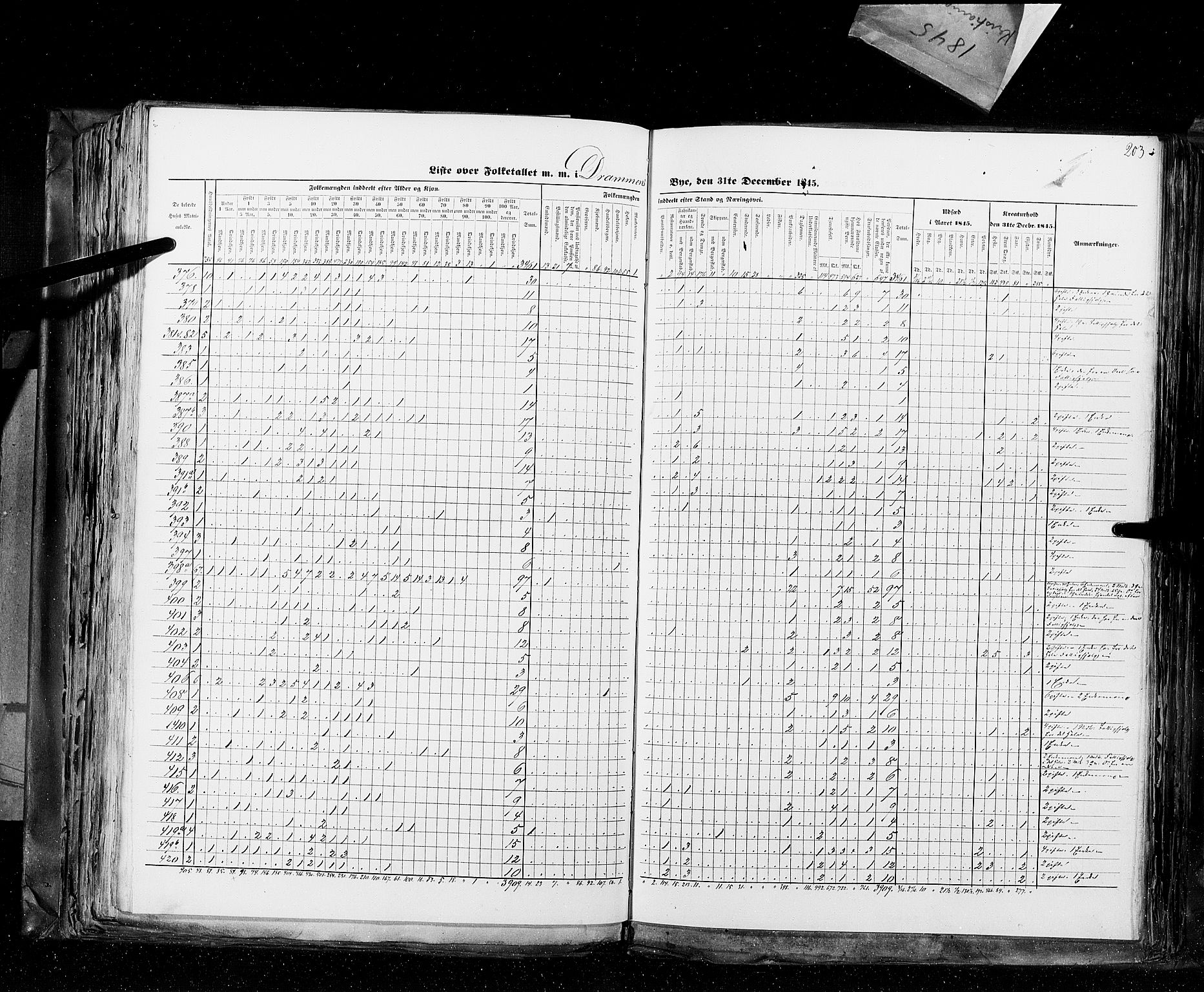 RA, Census 1845, vol. 10: Cities, 1845, p. 203