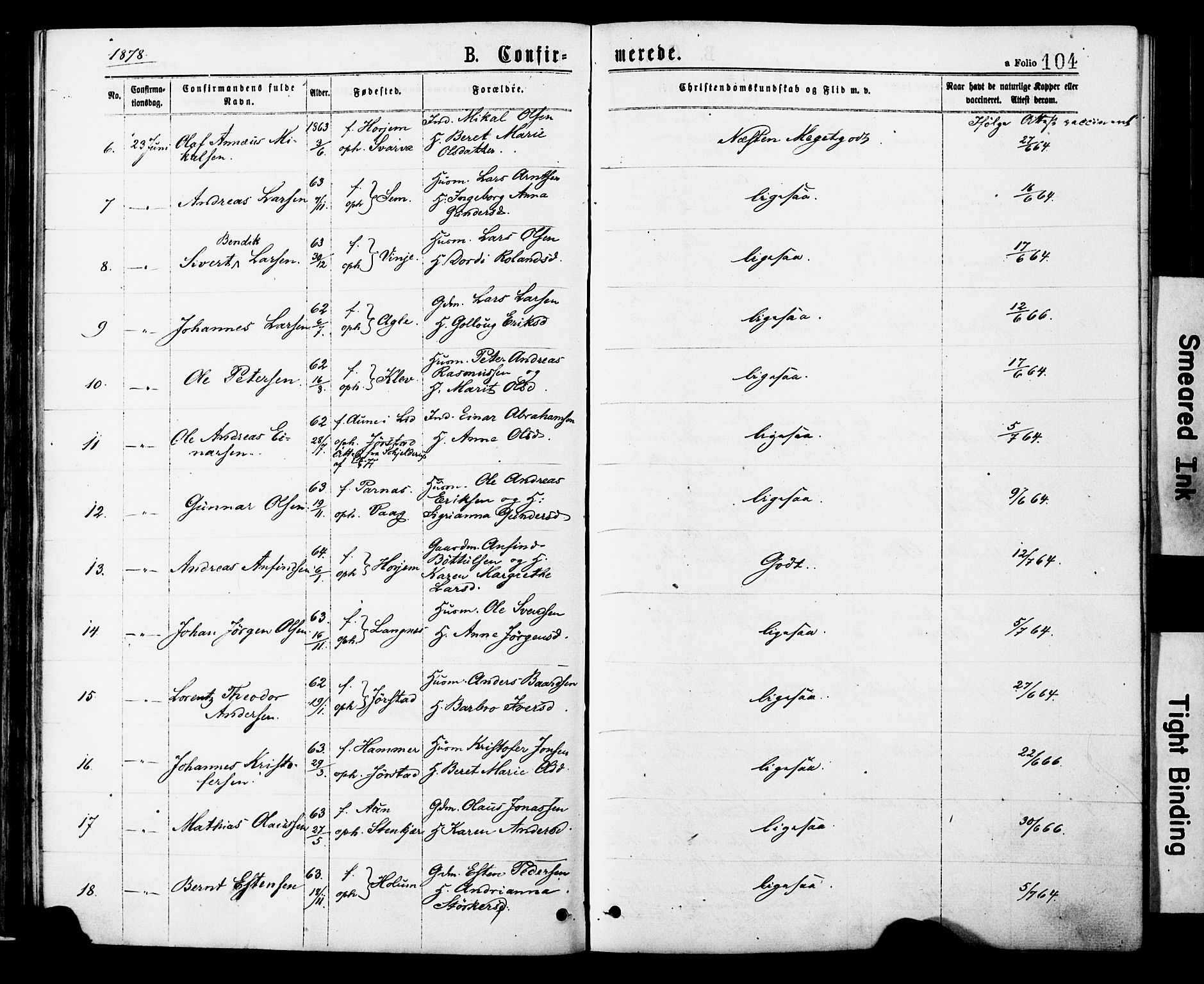 Ministerialprotokoller, klokkerbøker og fødselsregistre - Nord-Trøndelag, AV/SAT-A-1458/749/L0473: Parish register (official) no. 749A07, 1873-1887, p. 104