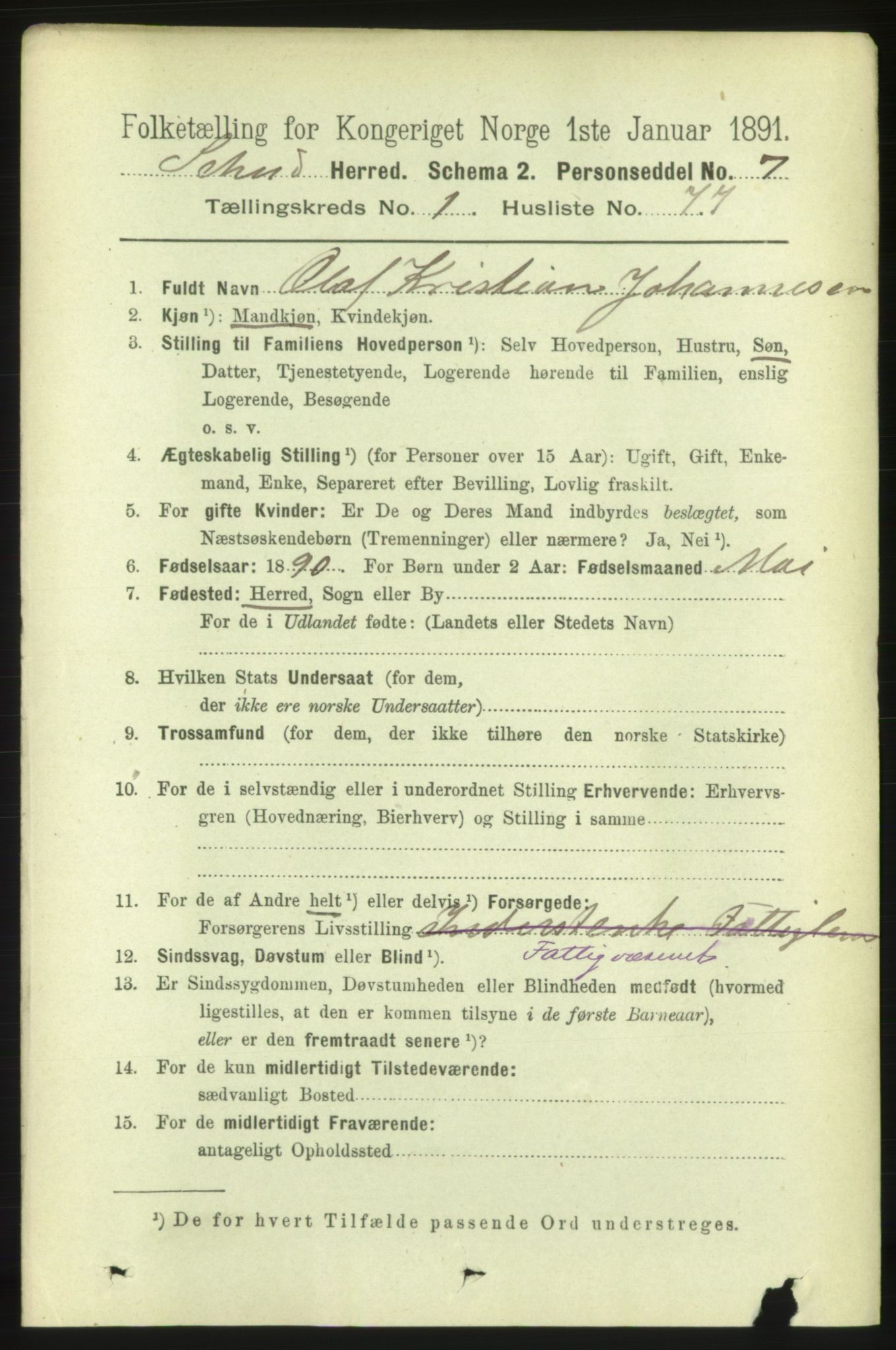 RA, 1891 census for 1732 Skei, 1891, p. 543