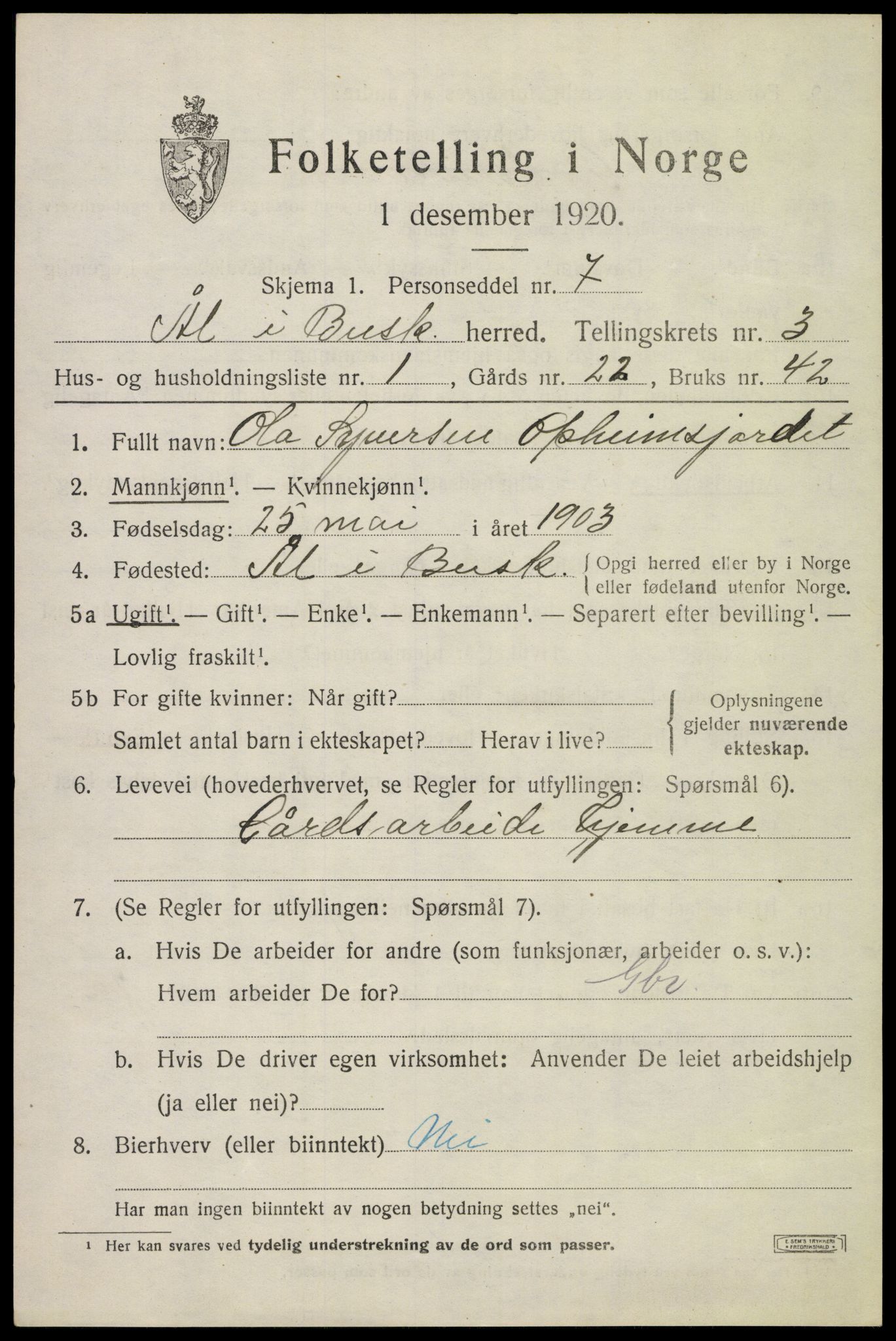 SAKO, 1920 census for Ål, 1920, p. 2388