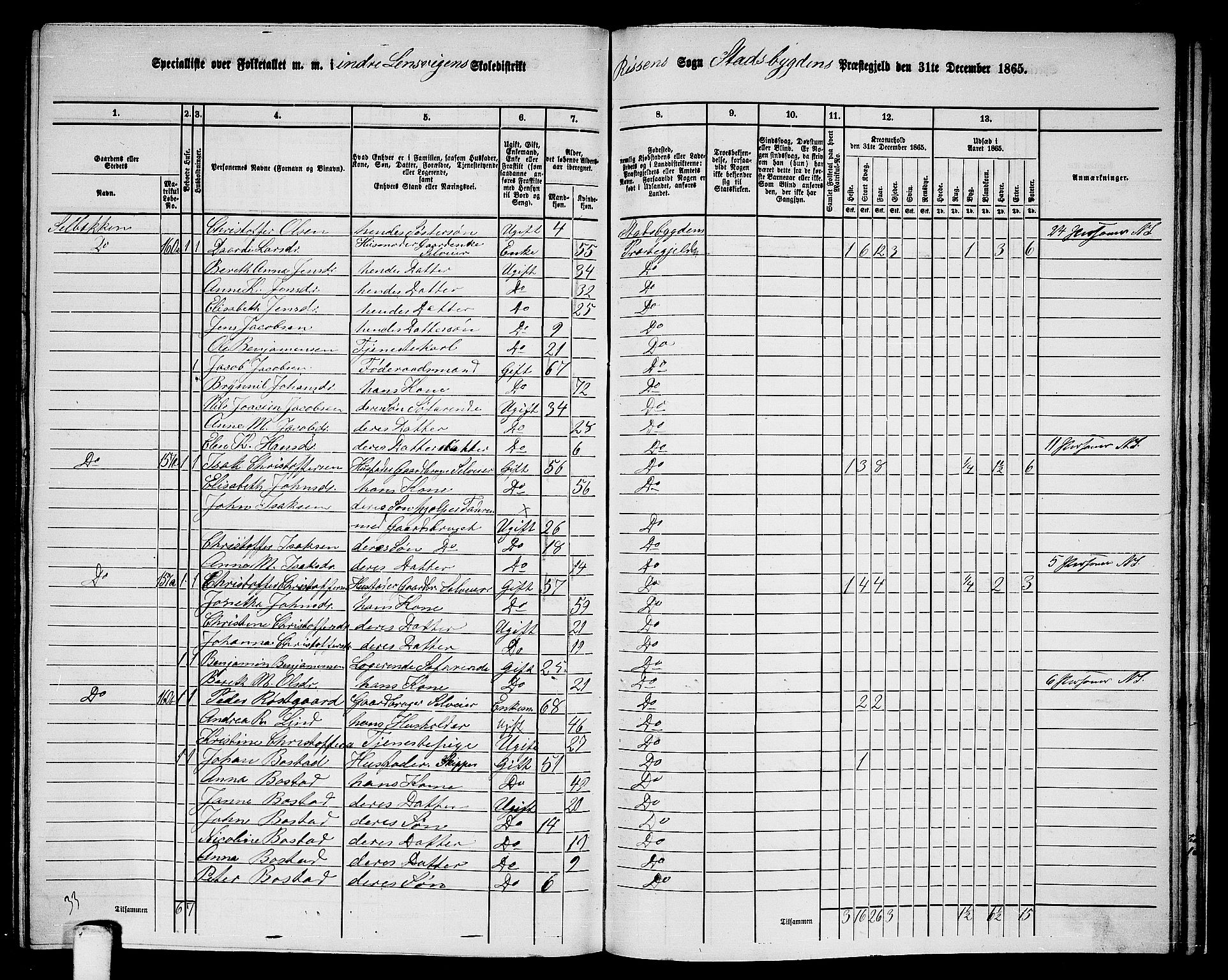 RA, 1865 census for Stadsbygd, 1865, p. 196