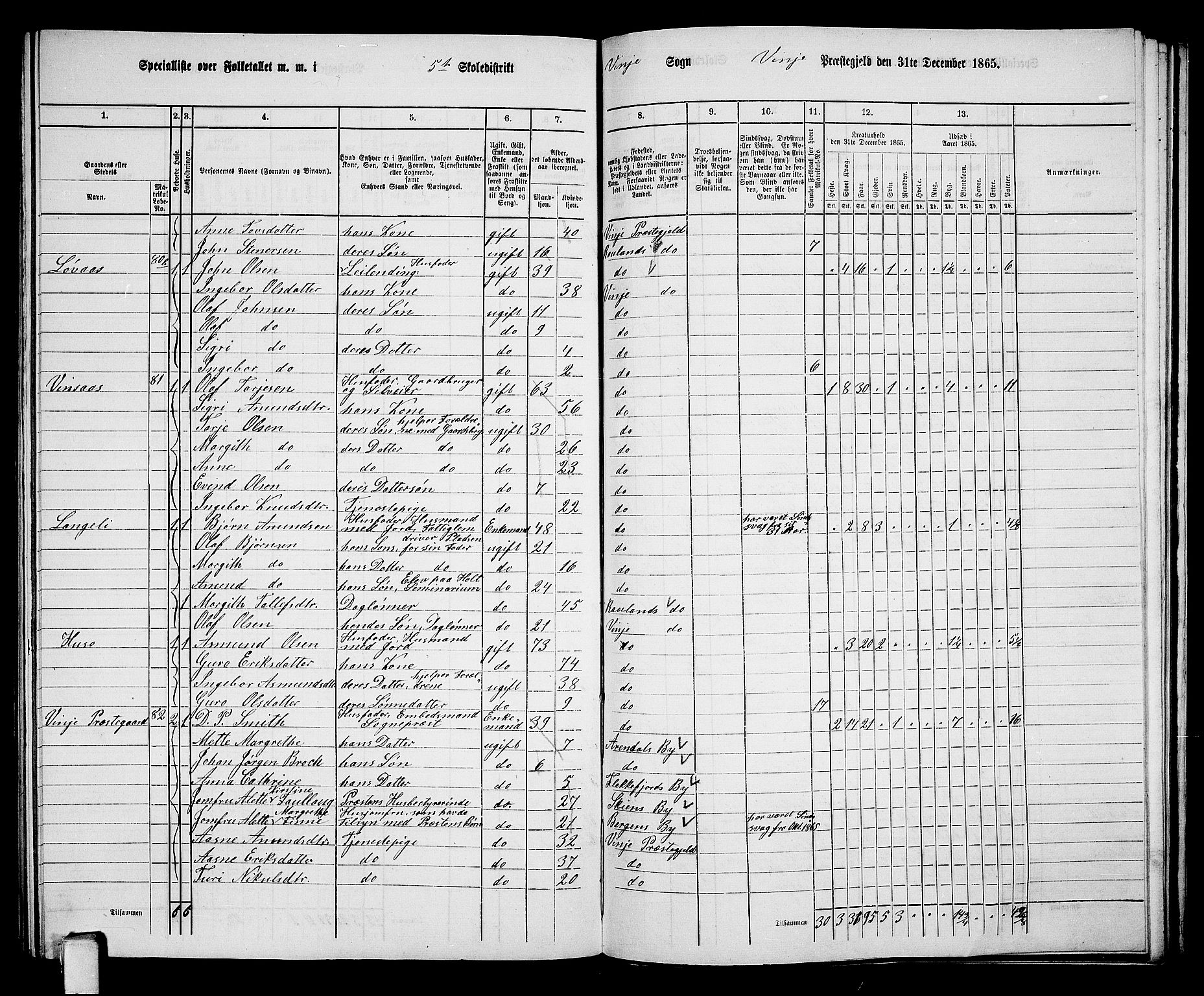 RA, 1865 census for Vinje, 1865, p. 50