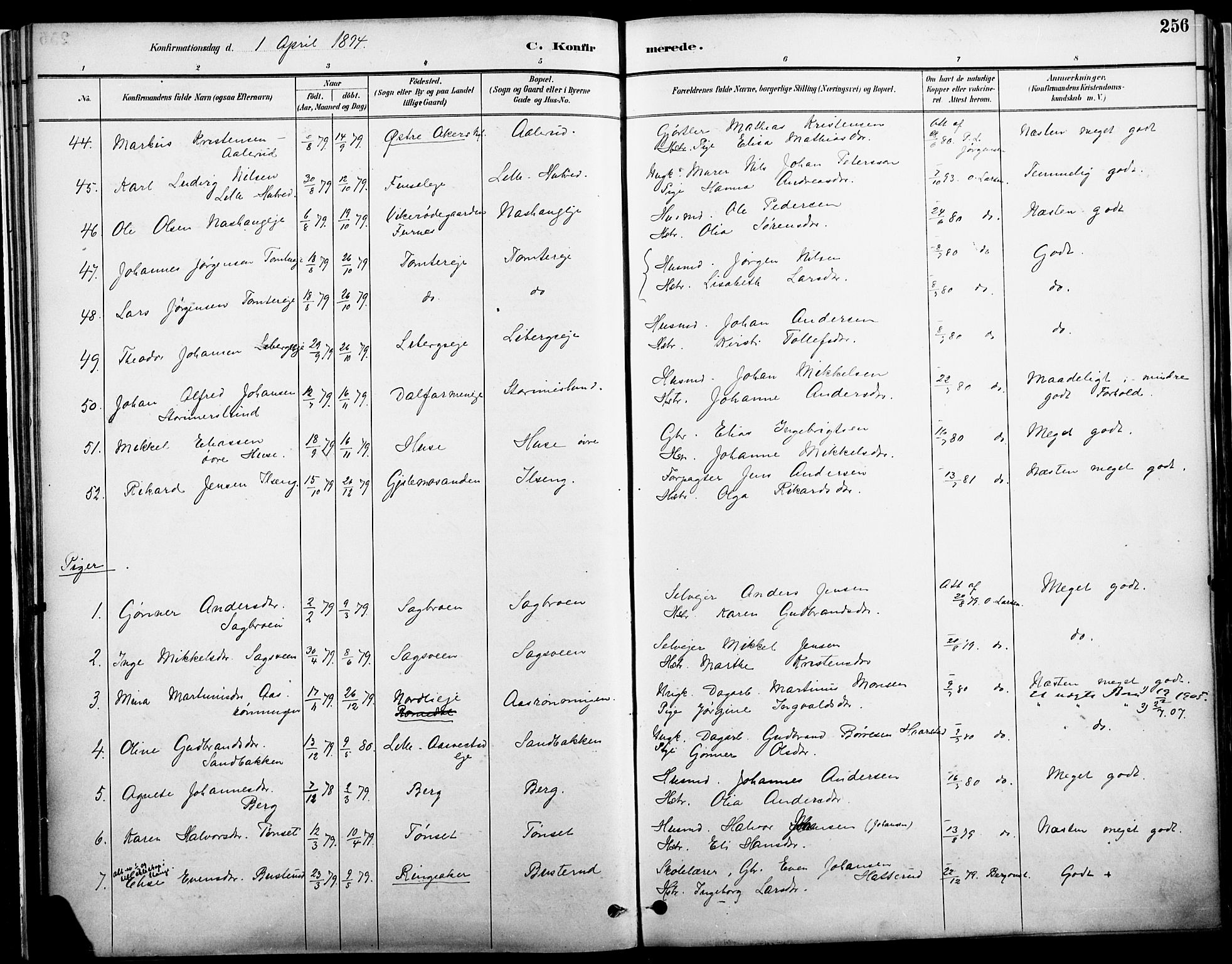 Vang prestekontor, Hedmark, AV/SAH-PREST-008/H/Ha/Haa/L0019A: Parish register (official) no. 19, 1886-1900, p. 256