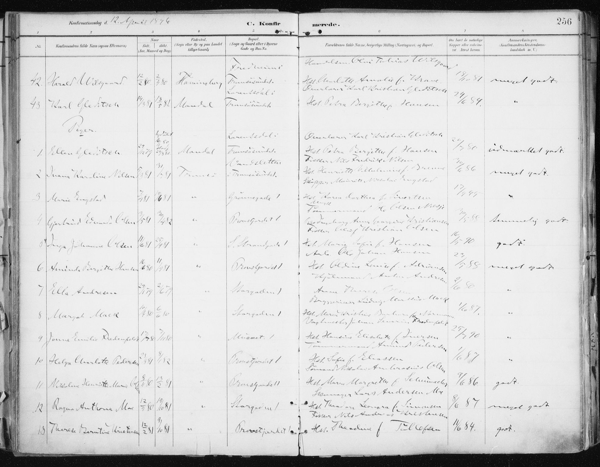 Tromsø sokneprestkontor/stiftsprosti/domprosti, SATØ/S-1343/G/Ga/L0015kirke: Parish register (official) no. 15, 1889-1899, p. 256