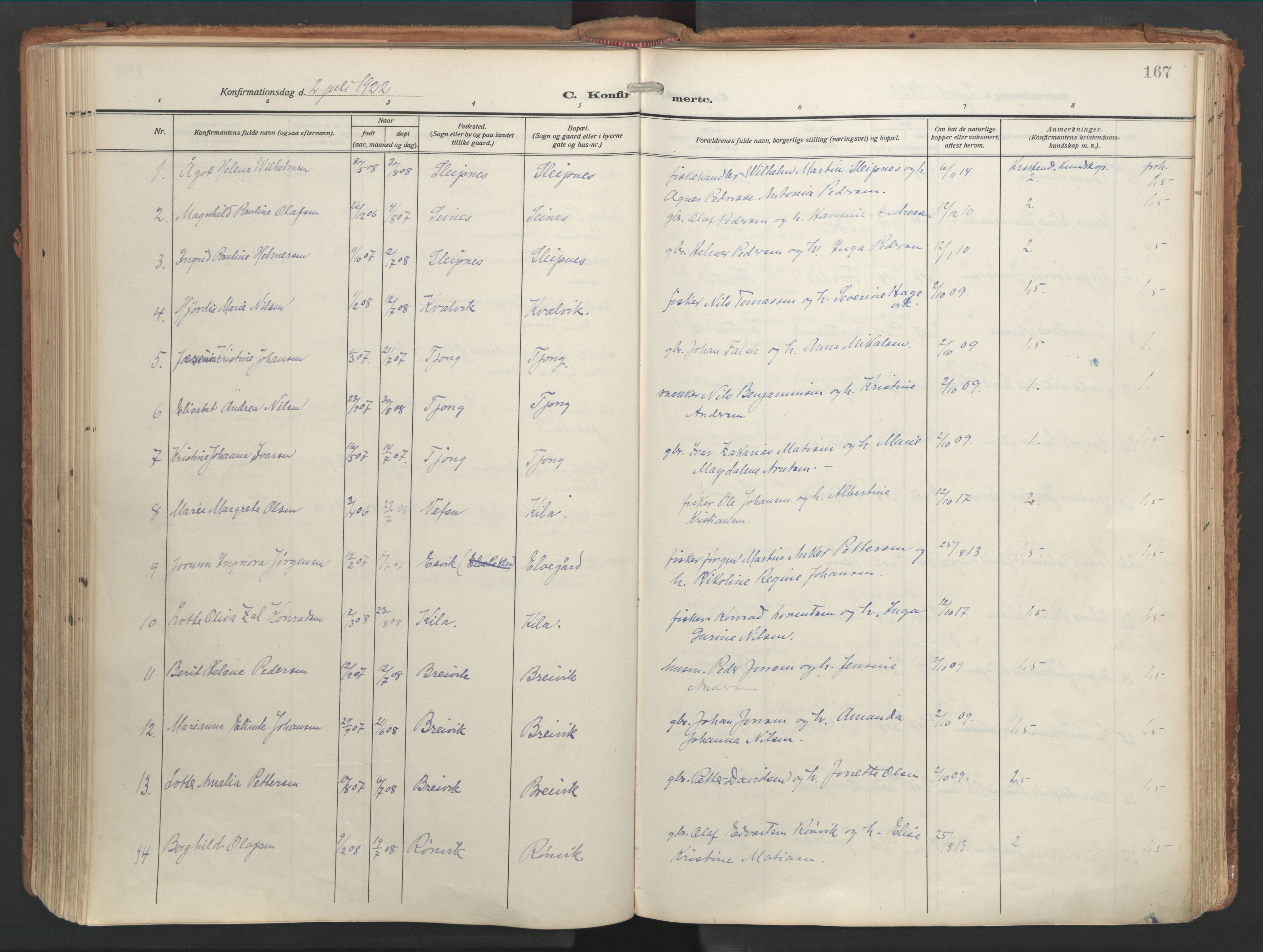 Ministerialprotokoller, klokkerbøker og fødselsregistre - Nordland, AV/SAT-A-1459/841/L0614: Parish register (official) no. 841A17, 1911-1925, p. 167