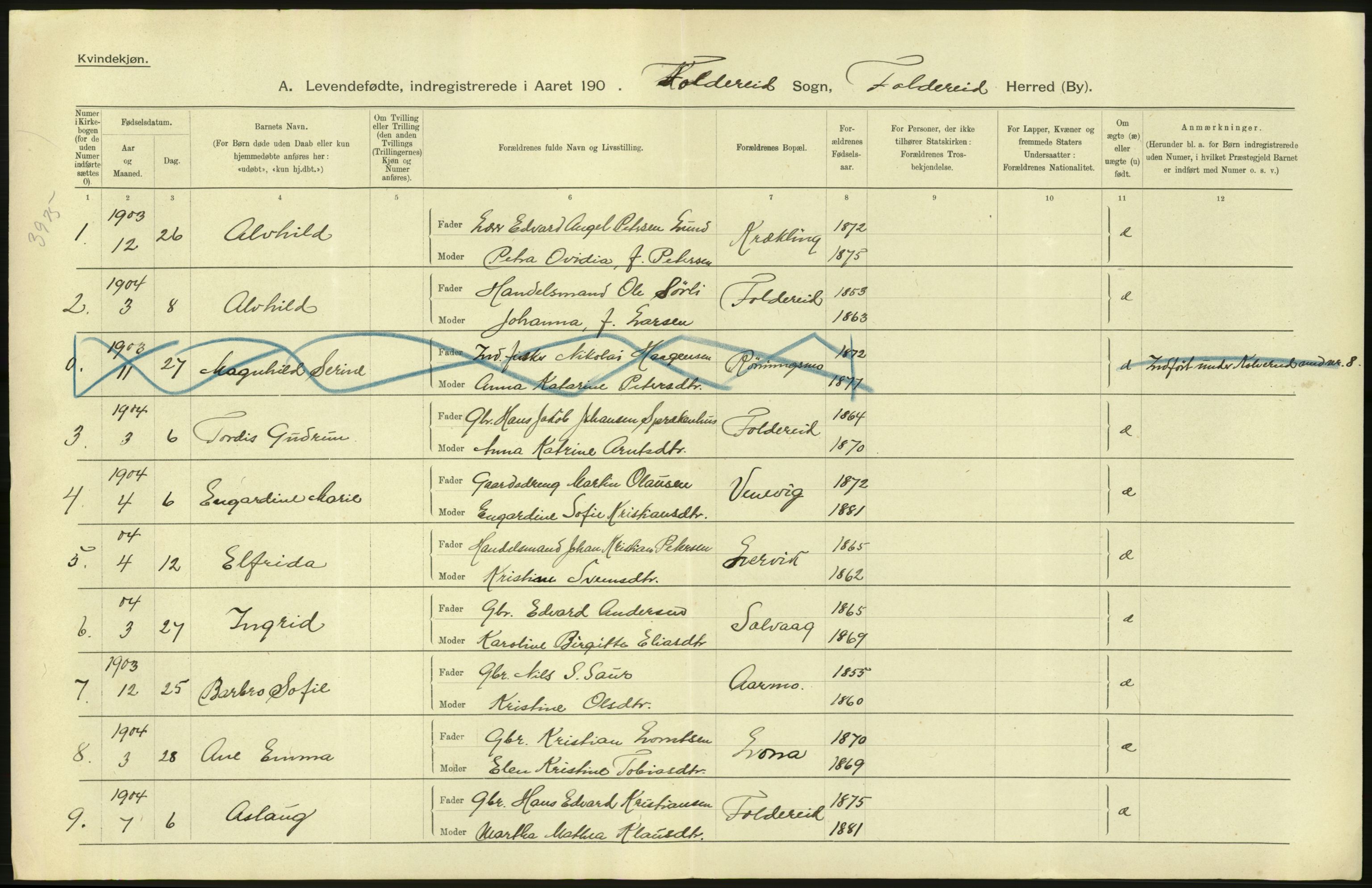 Statistisk sentralbyrå, Sosiodemografiske emner, Befolkning, AV/RA-S-2228/D/Df/Dfa/Dfab/L0019: Nordre Trondhjems amt: Fødte, gifte, døde, 1904, p. 316