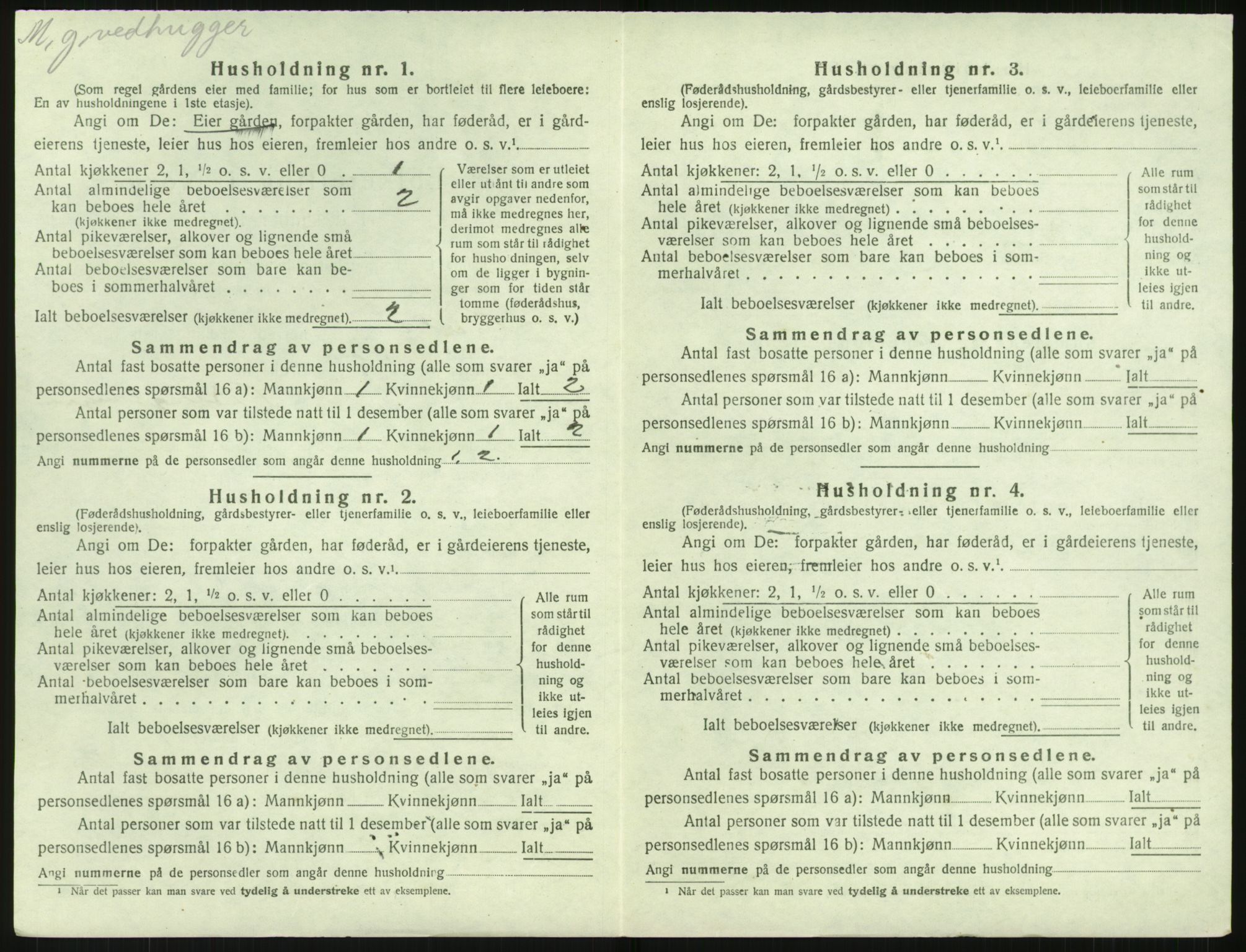 SAK, 1920 census for Holt, 1920, p. 1181