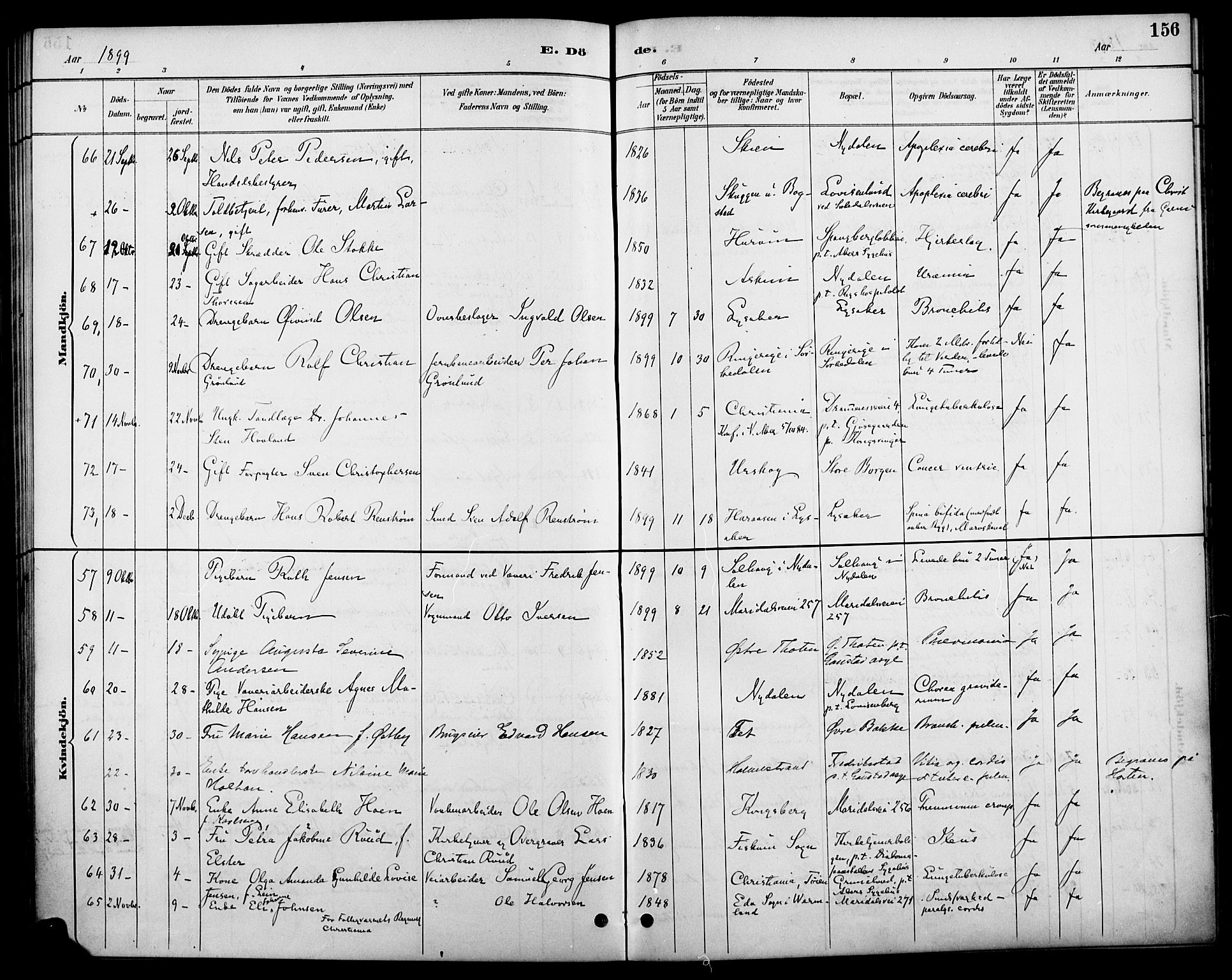 Vestre Aker prestekontor Kirkebøker, AV/SAO-A-10025/F/Fa/L0011: Parish register (official) no. 11, 1886-1904, p. 156