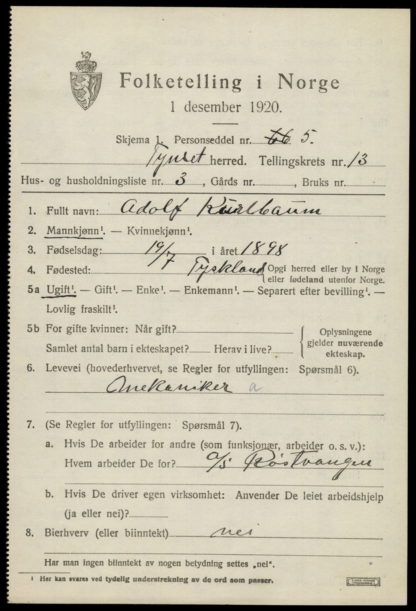 SAH, 1920 census for Tynset, 1920, p. 8596