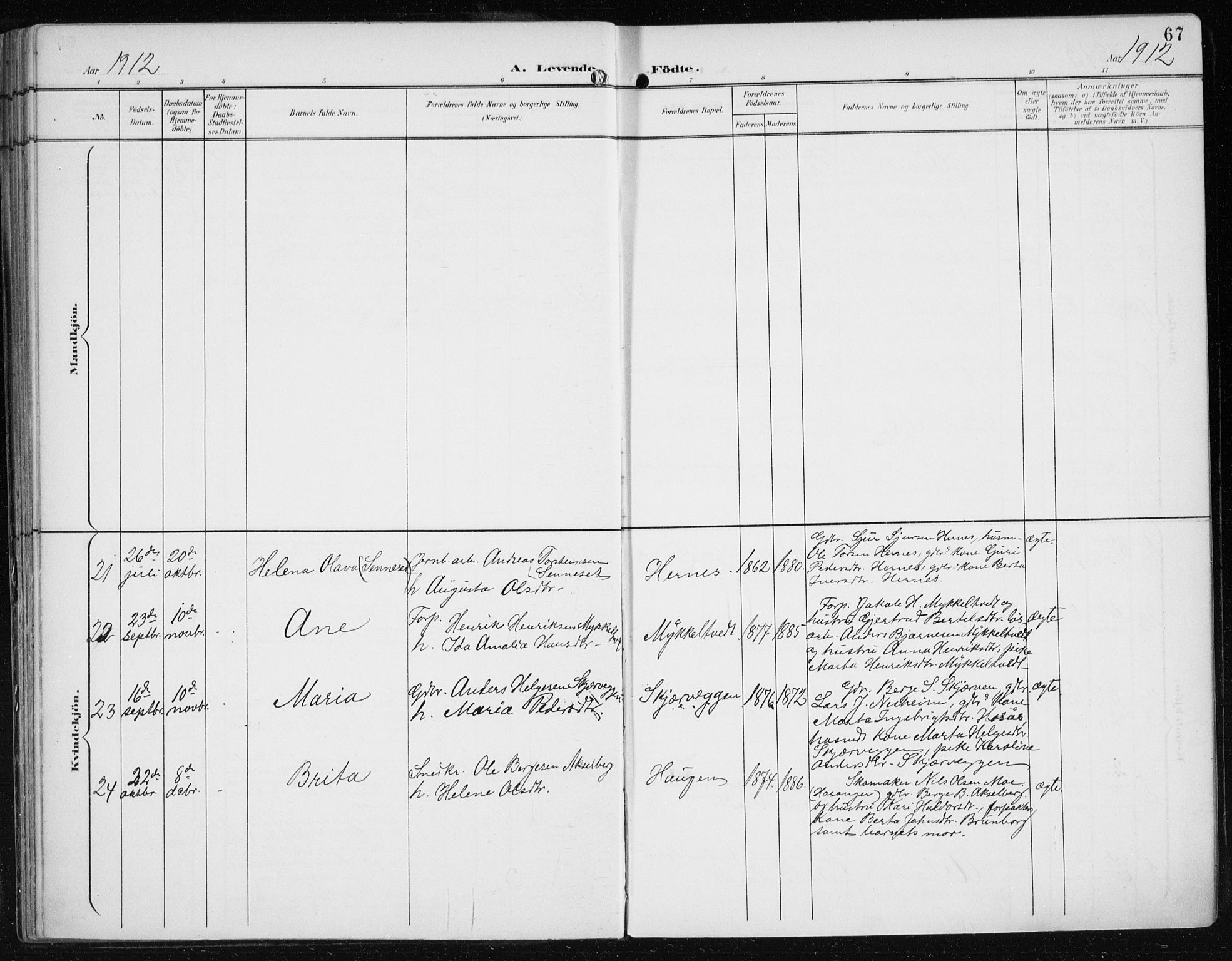 Evanger sokneprestembete, SAB/A-99924: Parish register (official) no. A  3, 1900-1930, p. 67