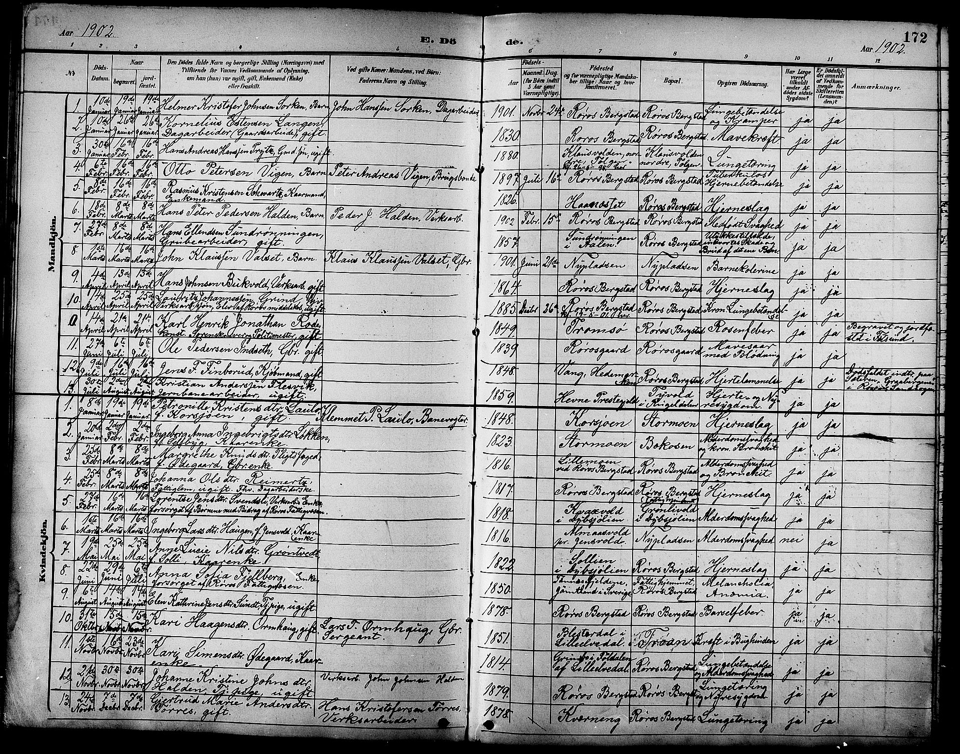 Ministerialprotokoller, klokkerbøker og fødselsregistre - Sør-Trøndelag, SAT/A-1456/681/L0941: Parish register (copy) no. 681C05, 1896-1905, p. 172