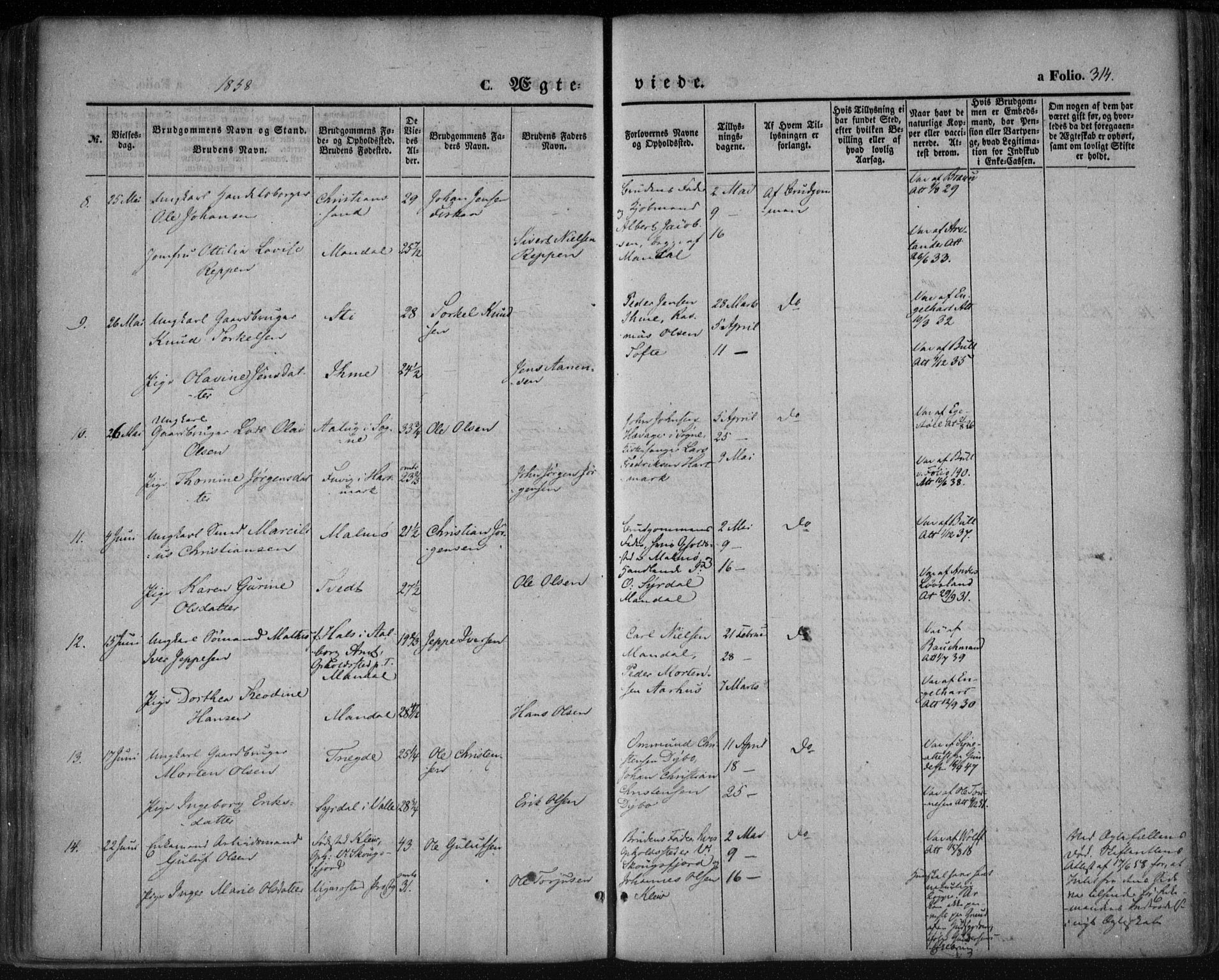 Mandal sokneprestkontor, AV/SAK-1111-0030/F/Fa/Faa/L0013: Parish register (official) no. A 13, 1847-1859, p. 314